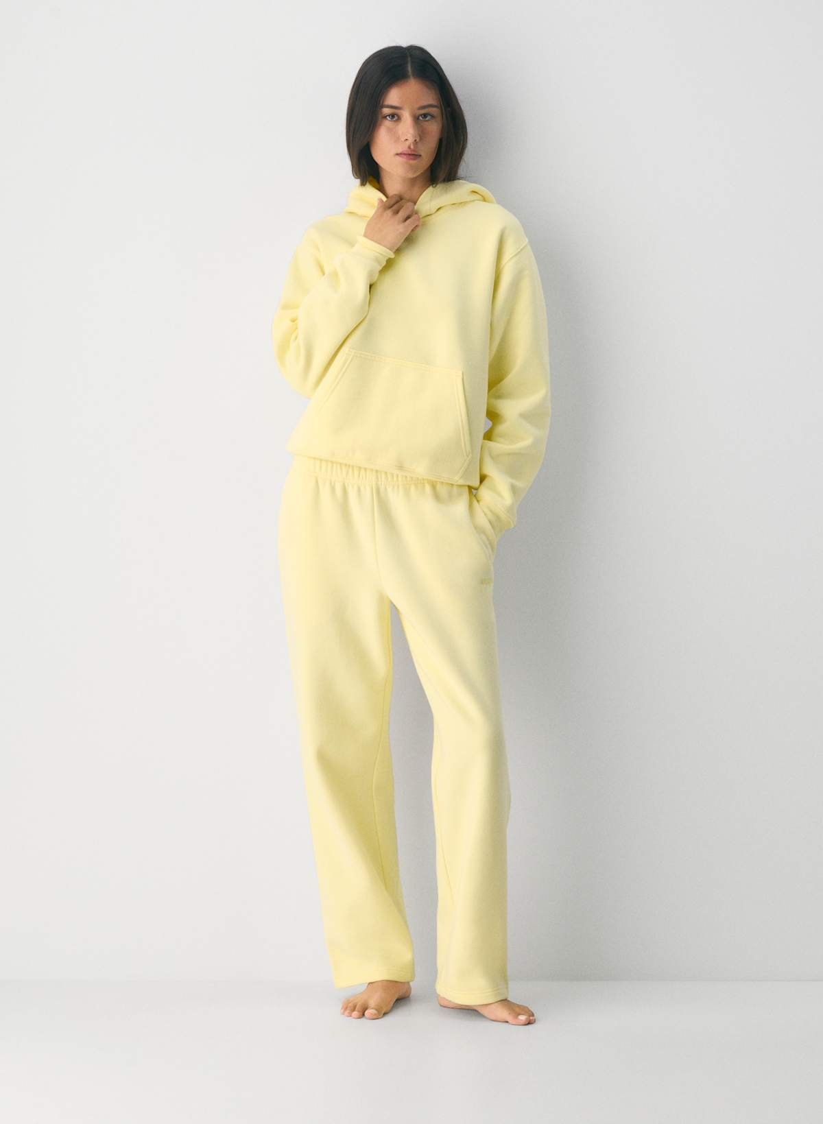 Aritzia Cozy Sweatfleece Perfect Hoodie