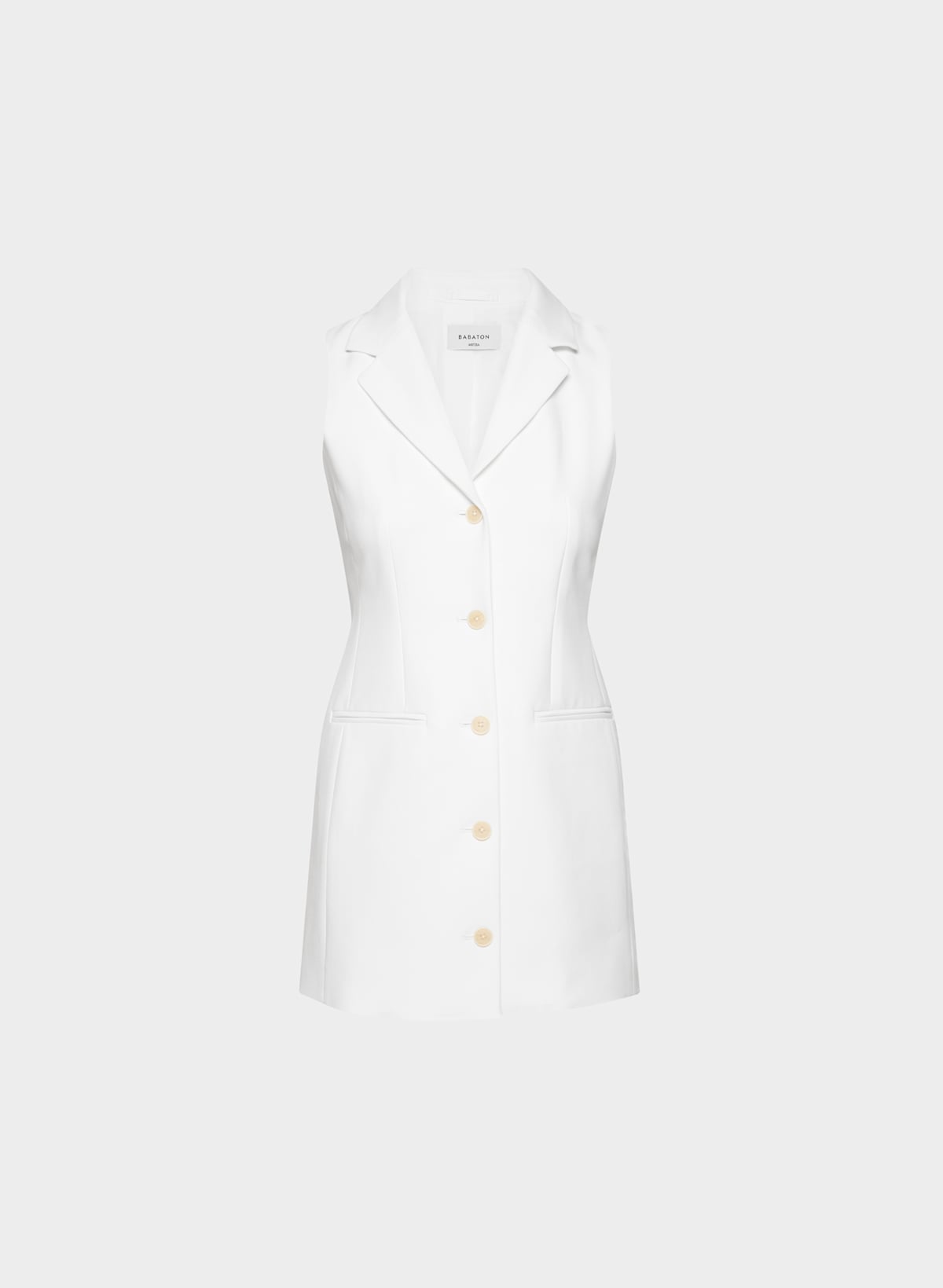 Aritzia Mastermind Dress
