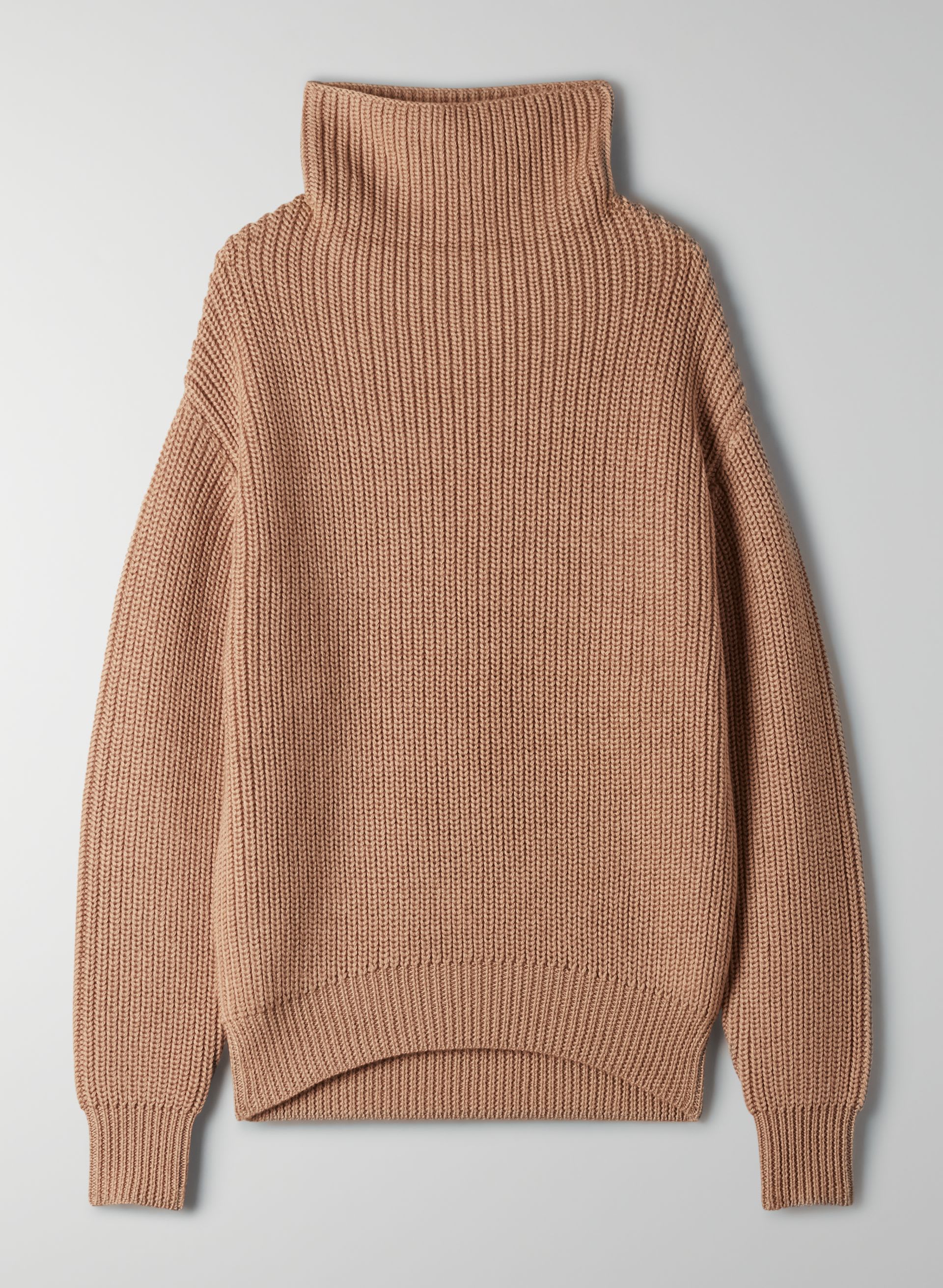 MONTPELLIER TURTLENECK | Aritzia