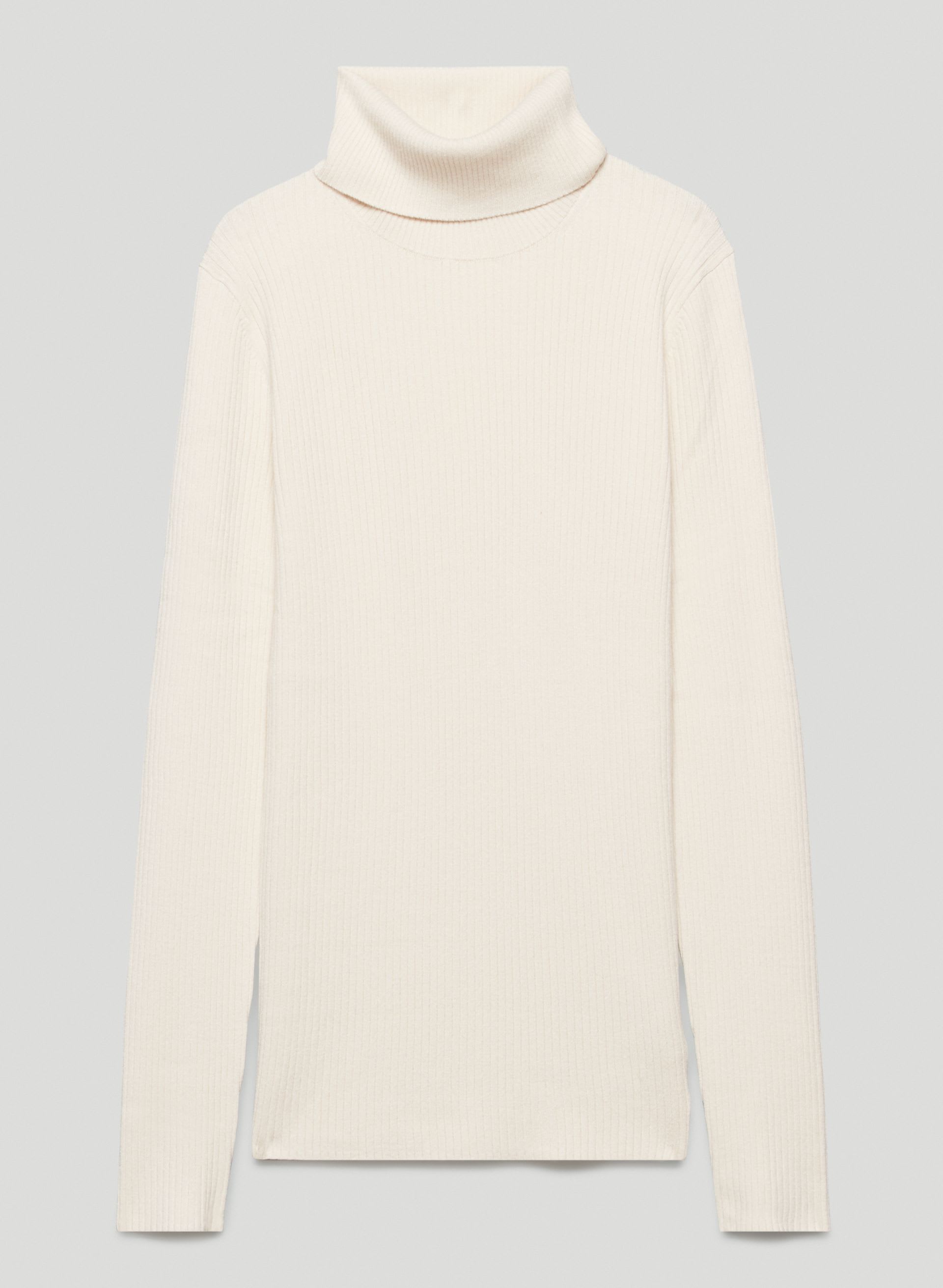 Compel Turtleneck | Aritzia US