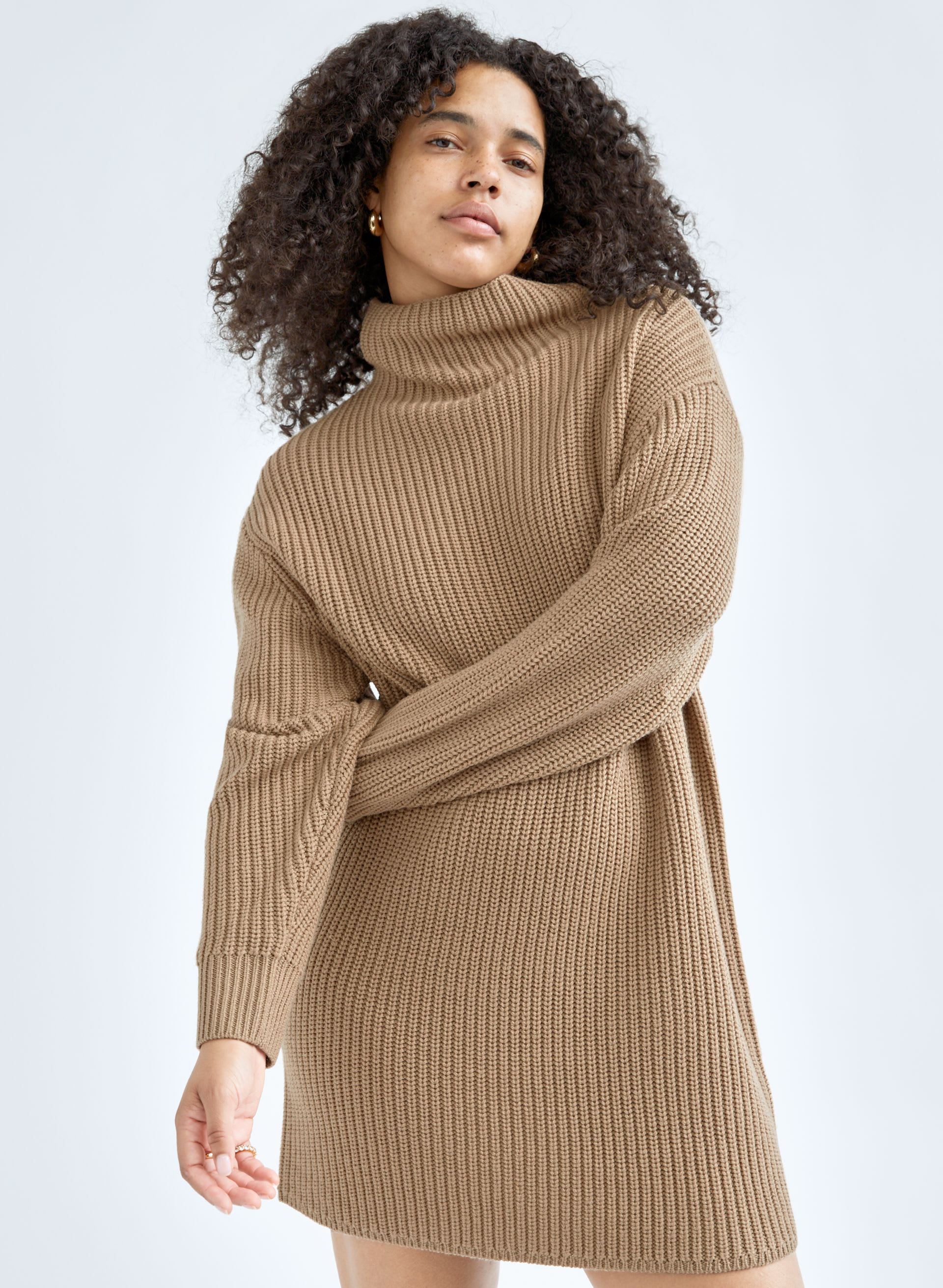 Montpellier Dress | Aritzia US