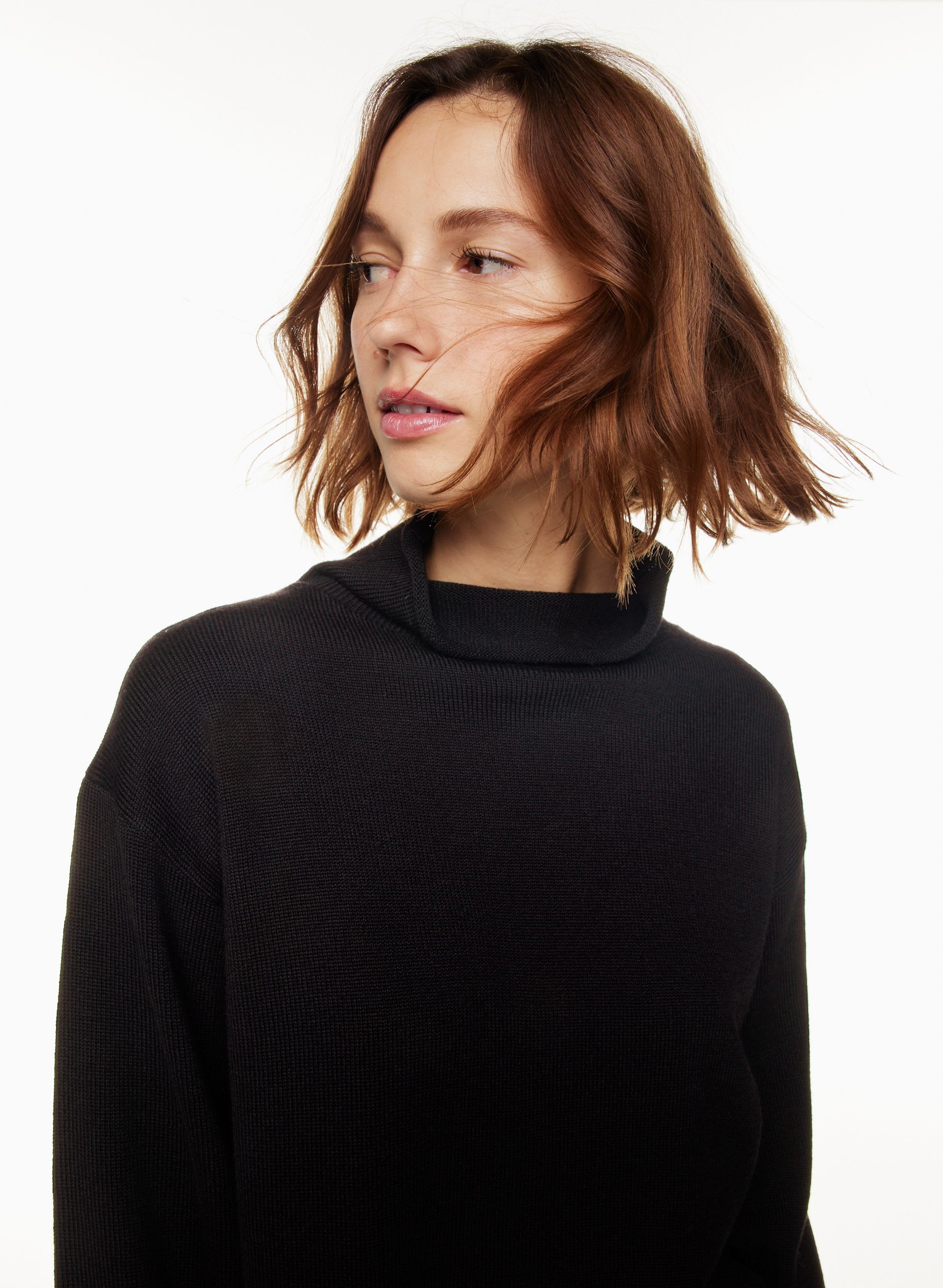 MONTPELLIER TURTLENECK | Aritzia