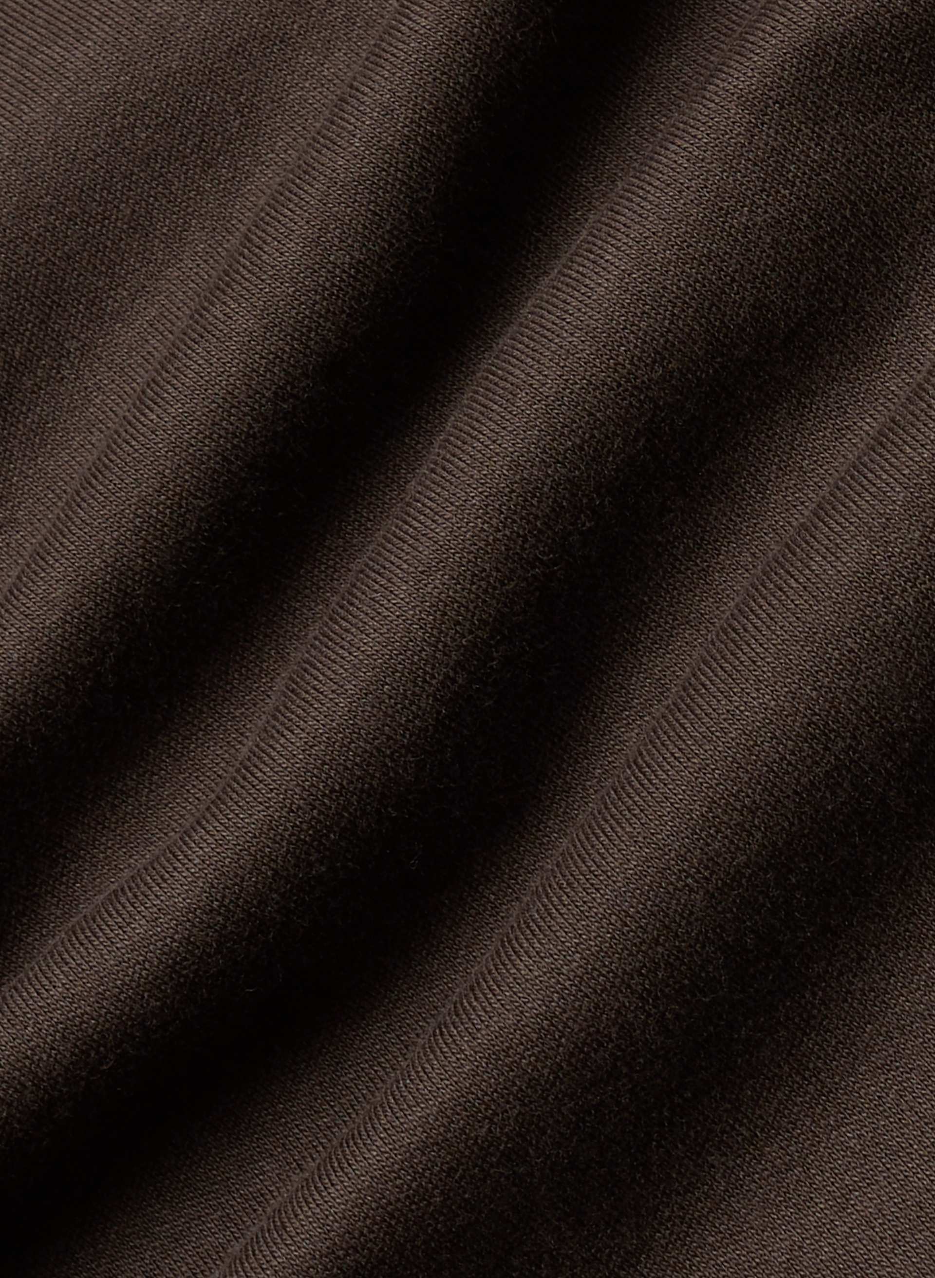 INTERLOCK COTTON WHARTON TURTLENECK | Aritzia
