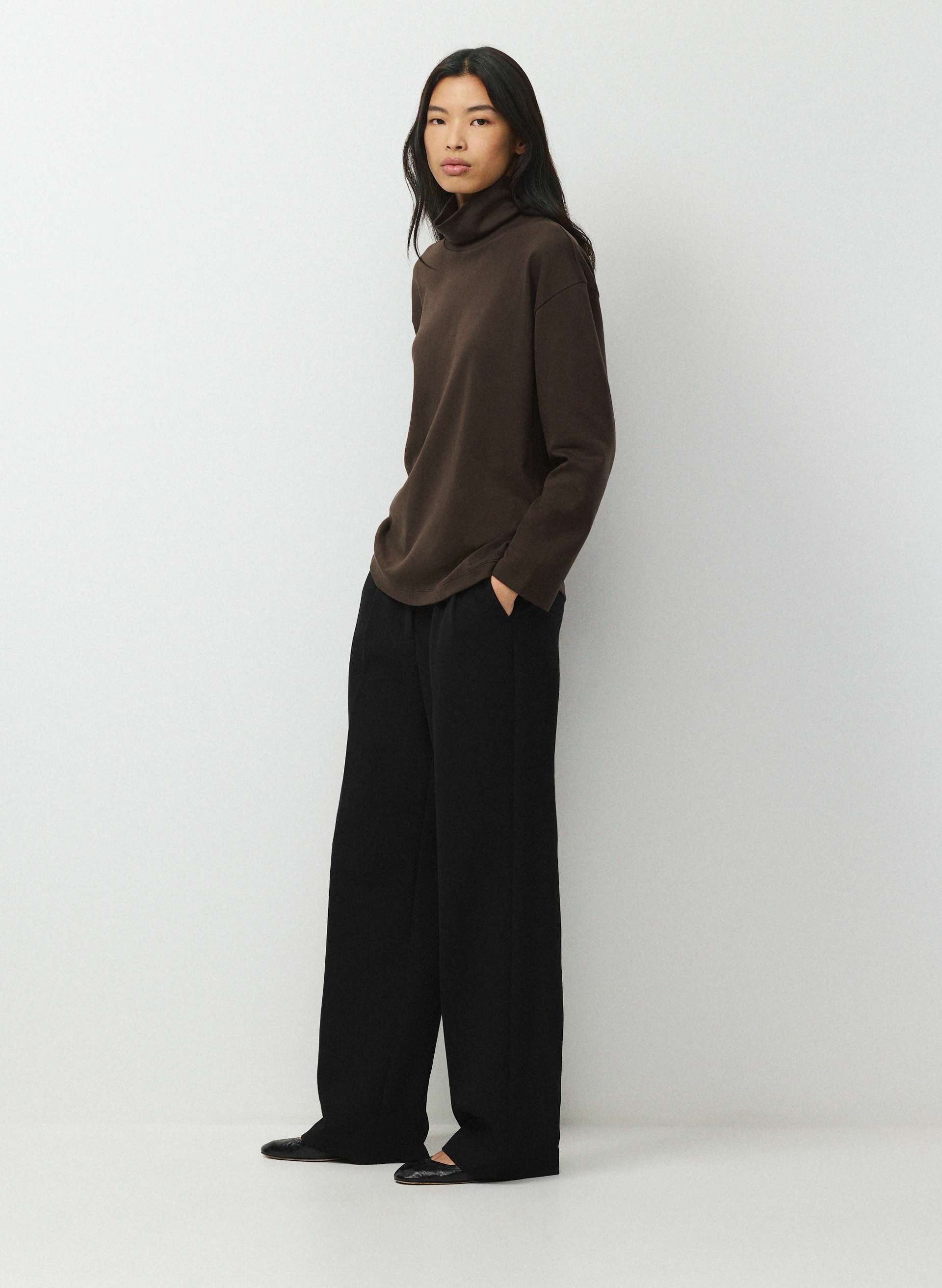 INTERLOCK COTTON WHARTON TURTLENECK | Aritzia