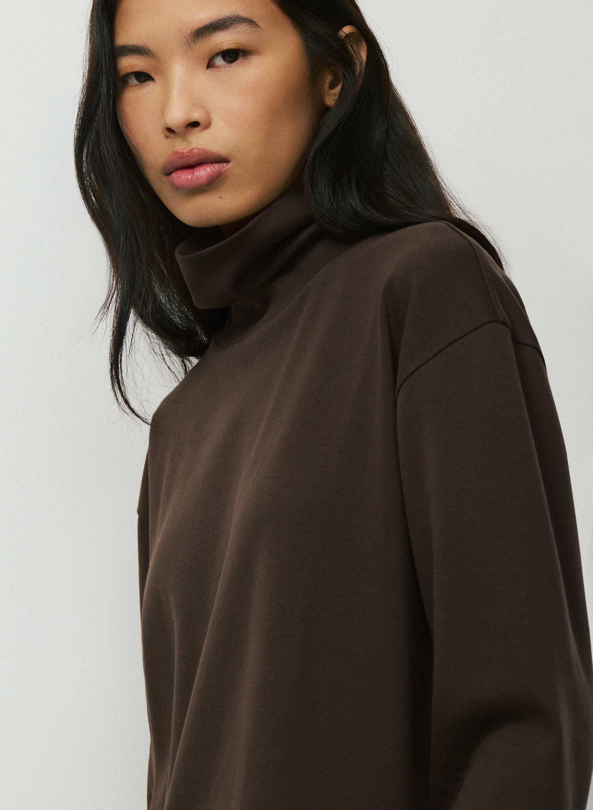 INTERLOCK COTTON WHARTON TURTLENECK | Aritzia
