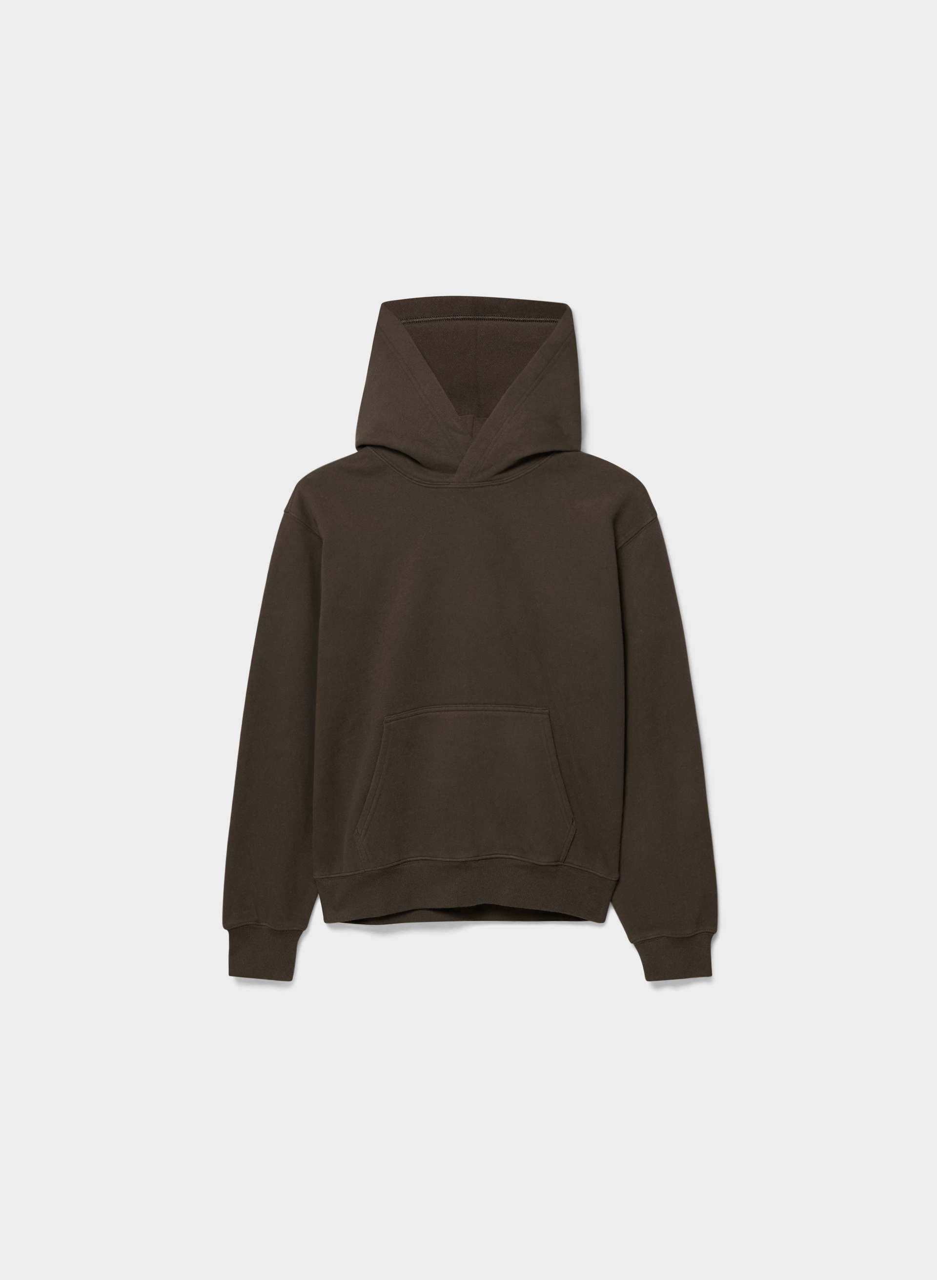 COZY SWEATFLEECE PERFECT HOODIE | Aritzia