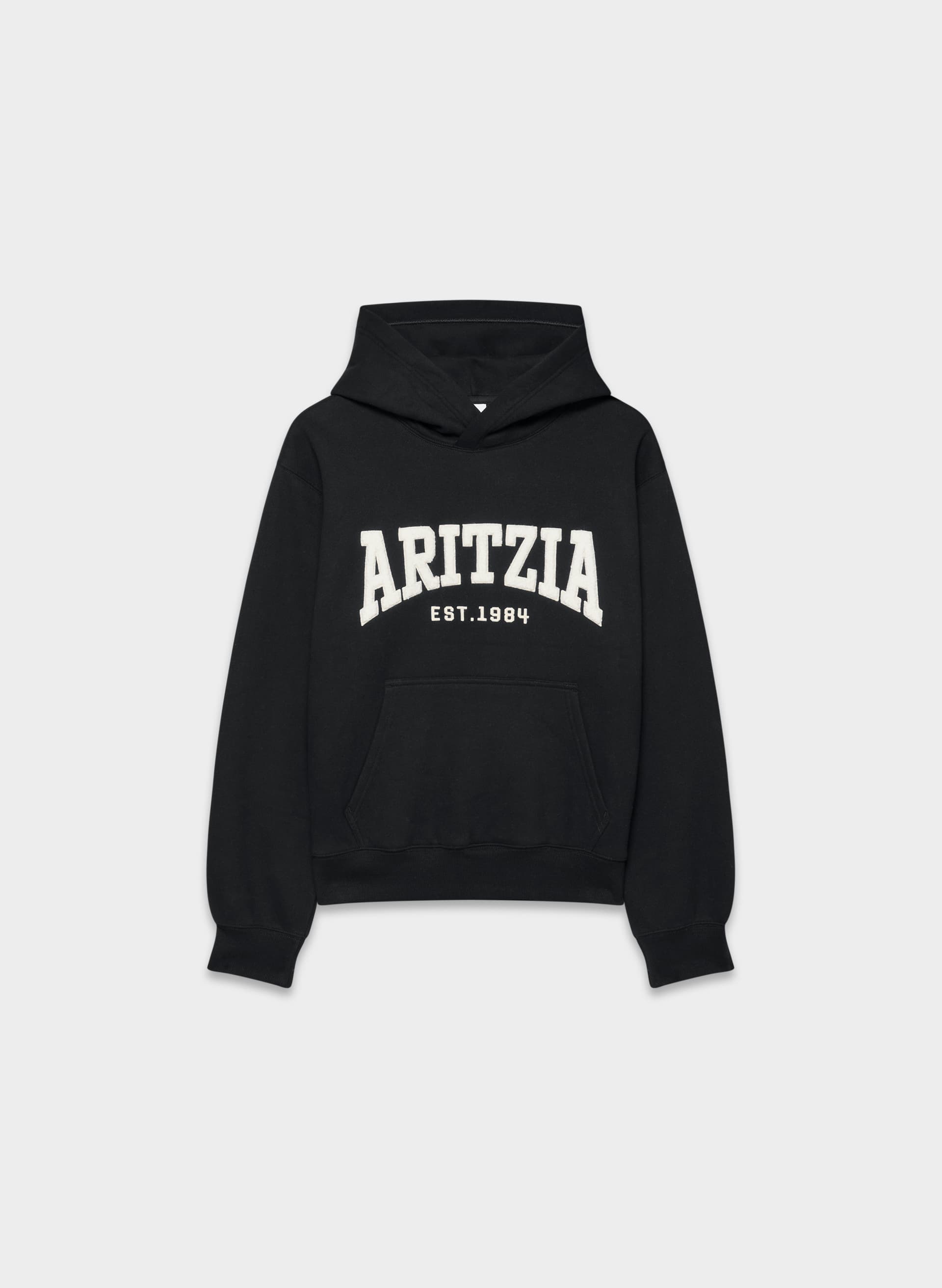 COZY SWEATFLEECE PERFECT HOODIE | Aritzia