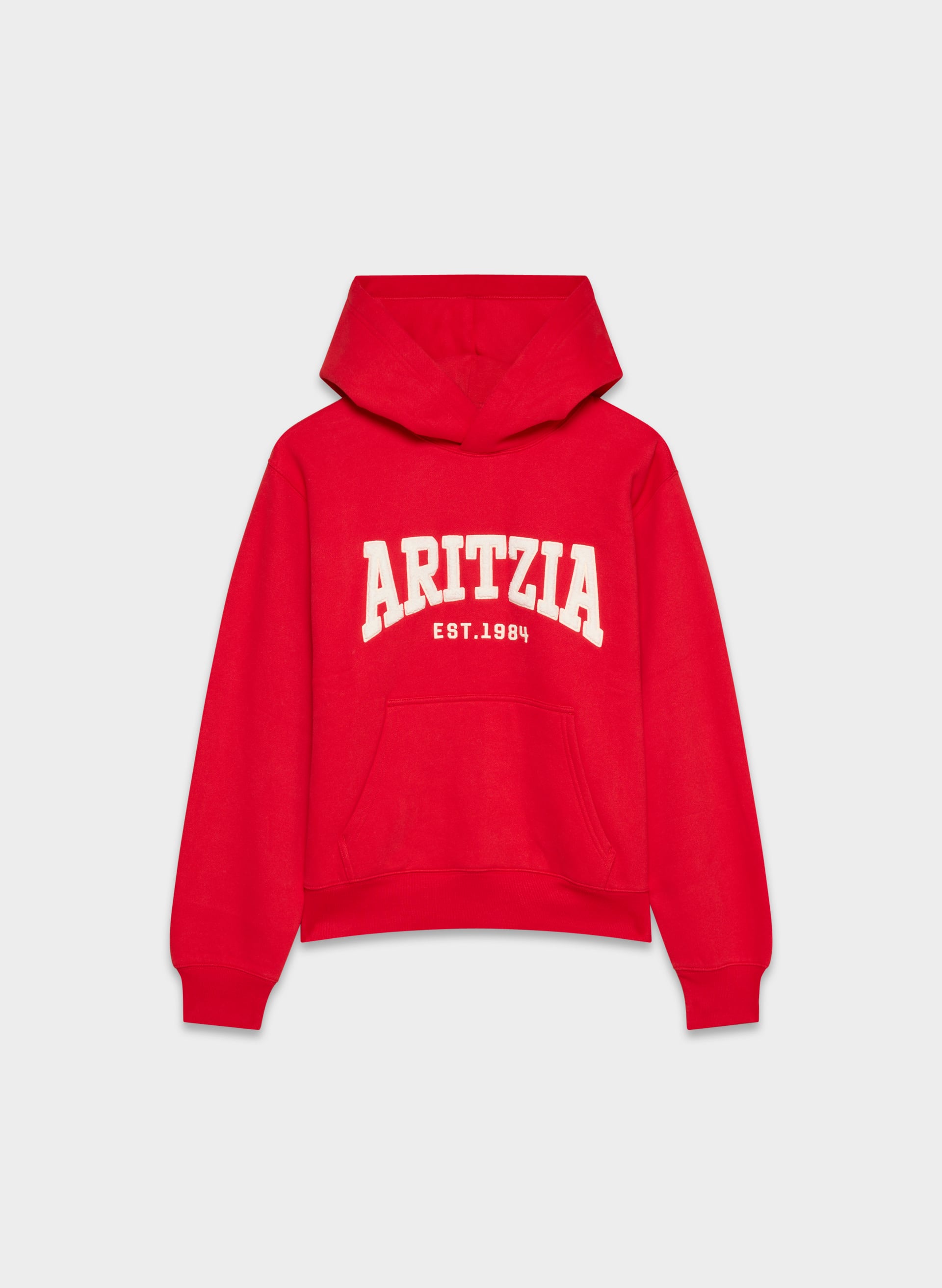 COZY SWEATFLEECE PERFECT HOODIE | Aritzia