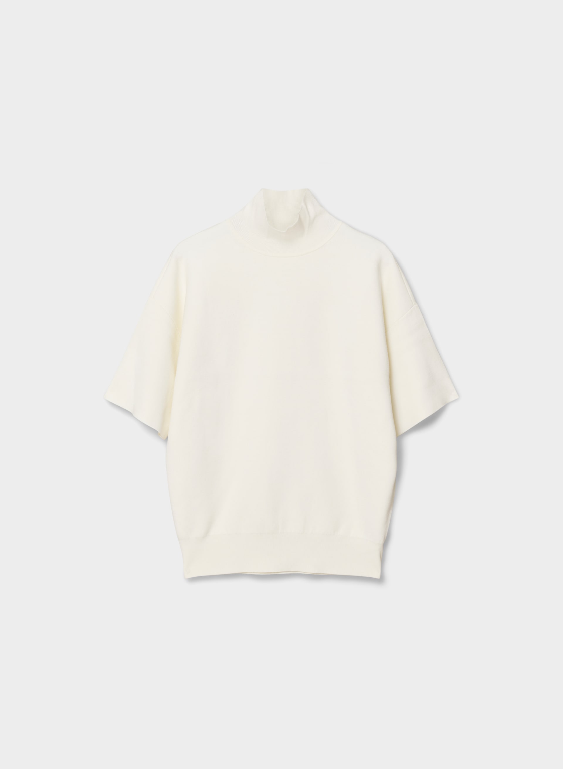ADVICE TURTLENECK | Aritzia