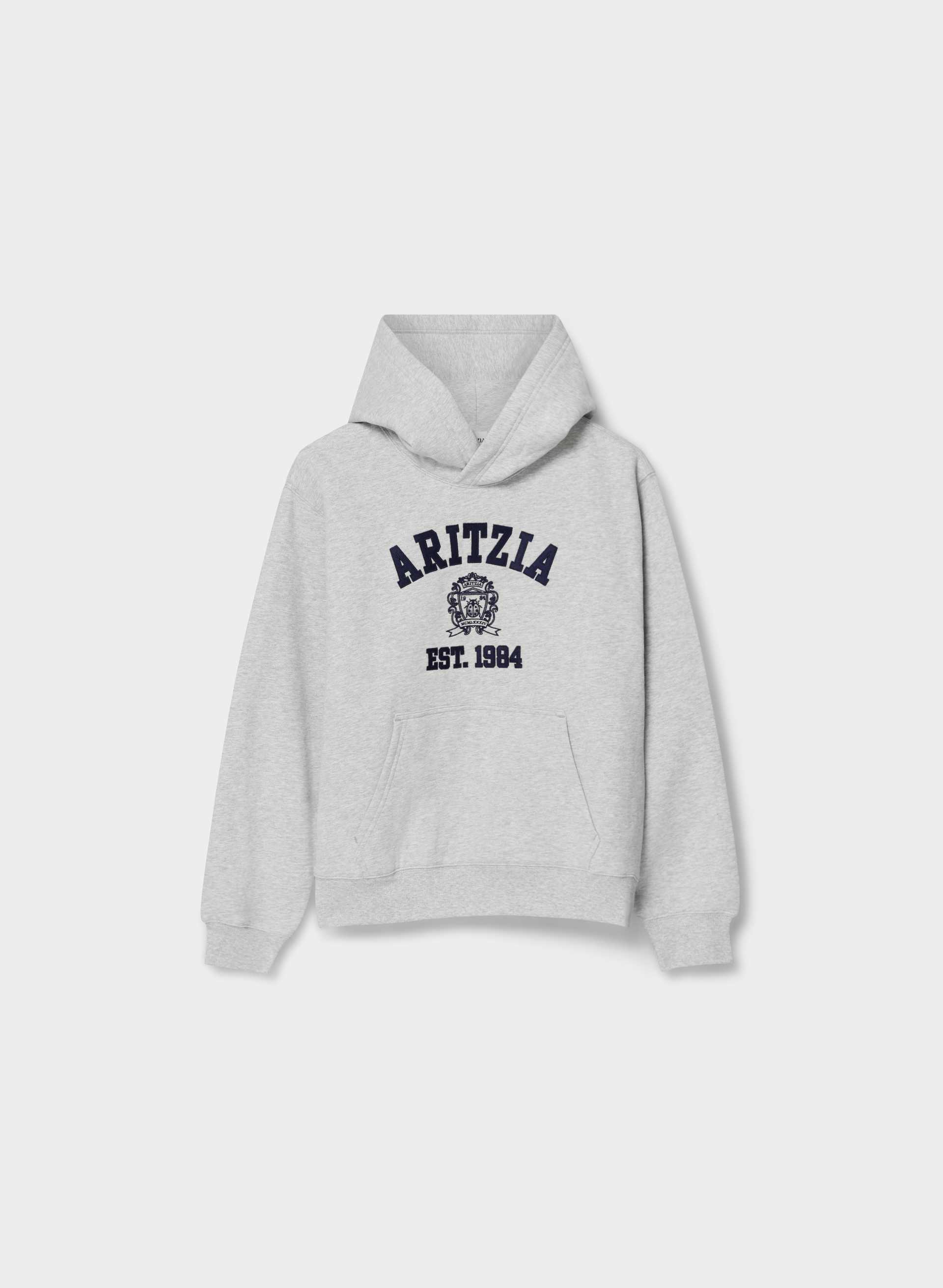 COZY SWEATFLEECE PERFECT HOODIE | Aritzia
