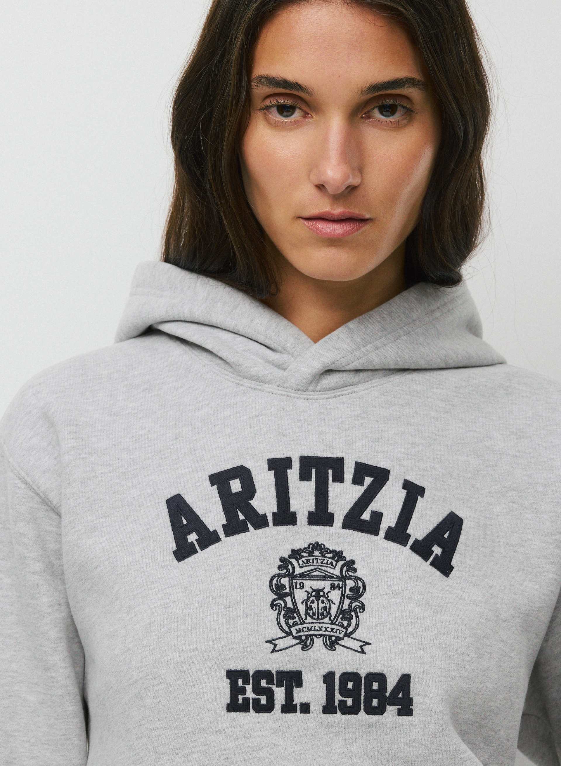 COZY SWEATFLEECE PERFECT HOODIE | Aritzia
