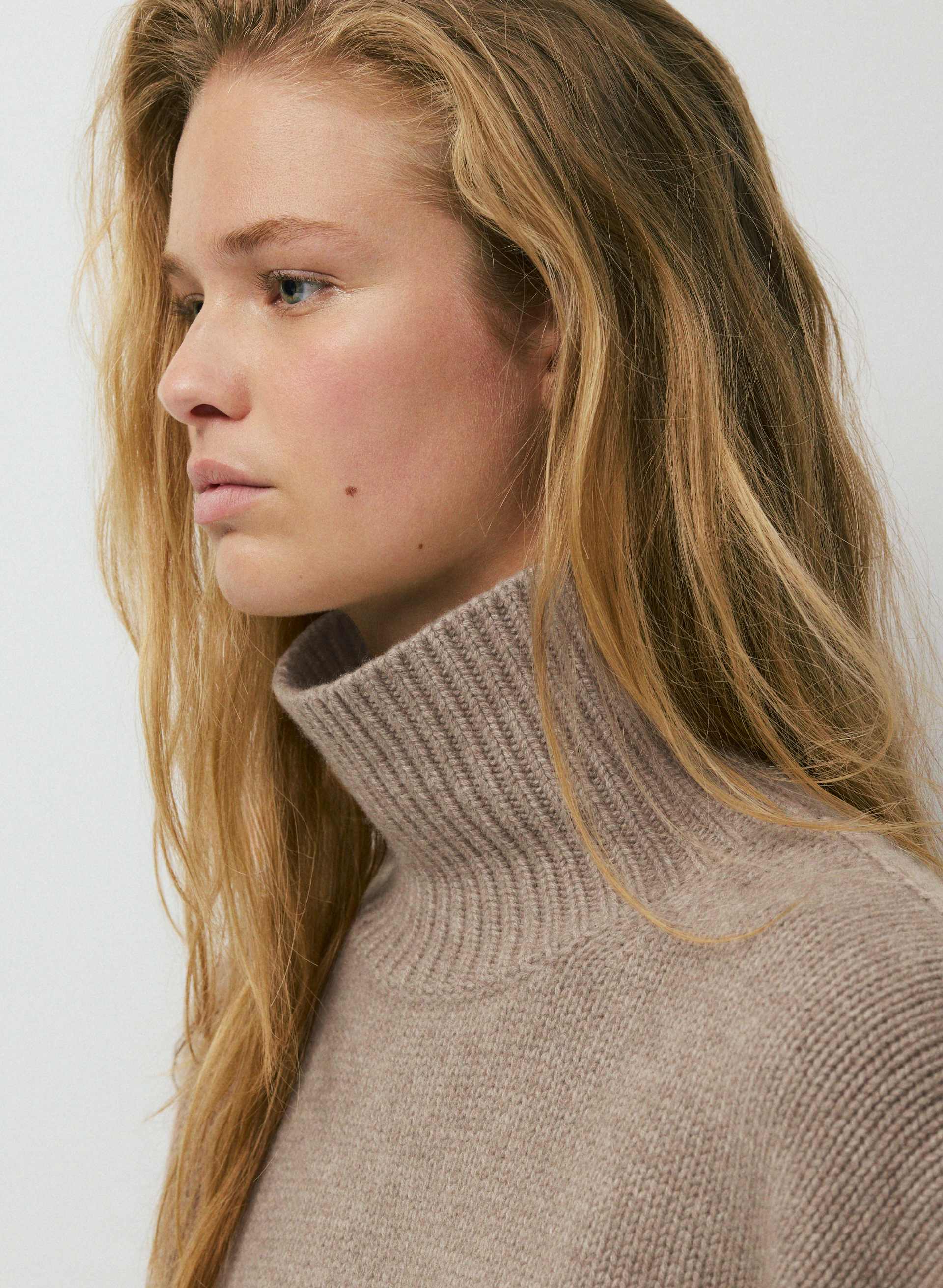 PLUSH WOOL CASHMERE POEM TURTLENECK | Aritzia
