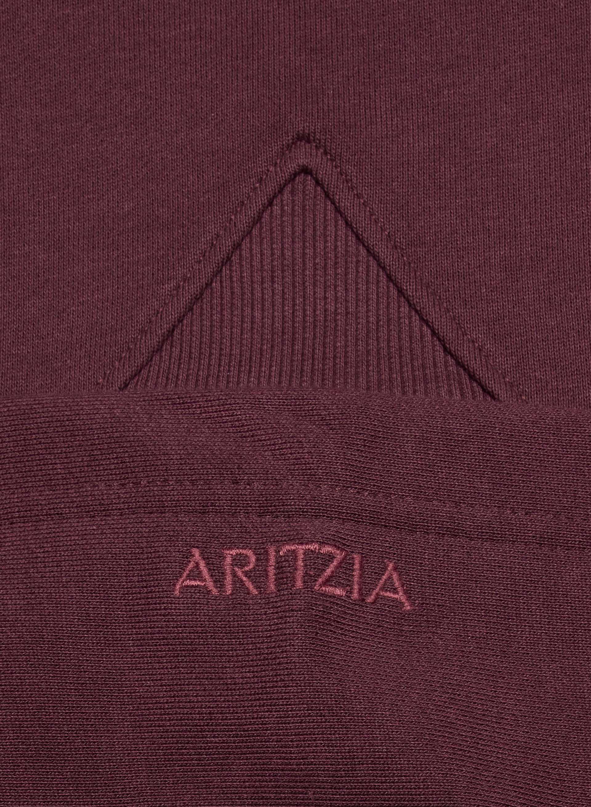 TERRY SWEATFLEECE PERFECT RAGLAN HOODIE | Aritzia