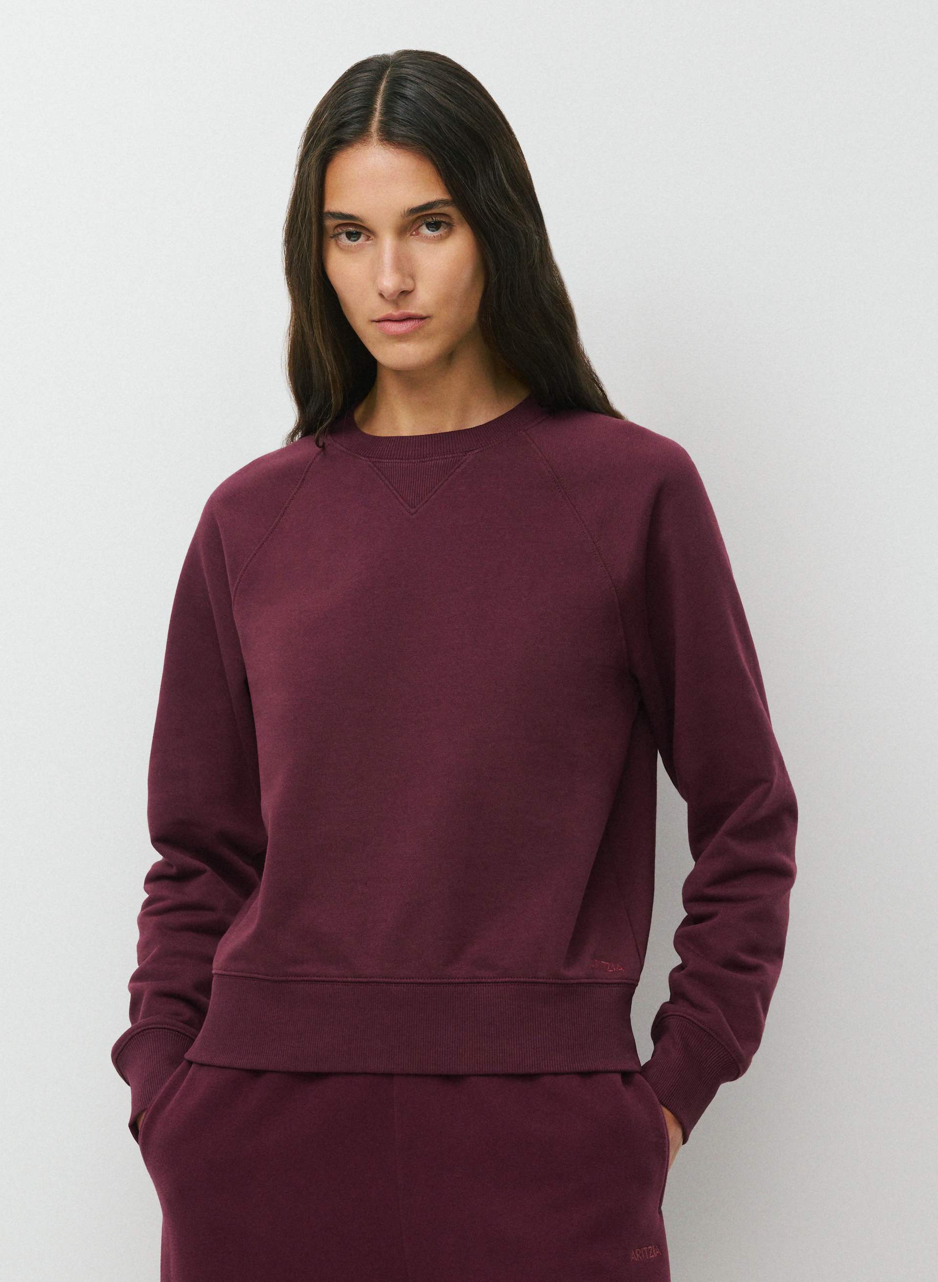 TERRY SWEATFLEECE PERFECT RAGLAN SWEATSHIRT | Aritzia