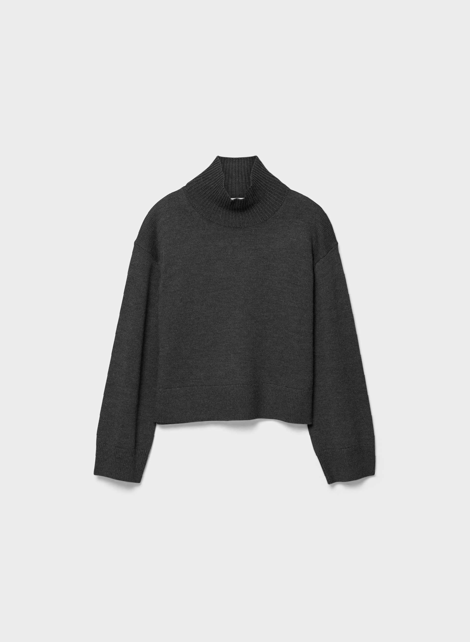 ESSENTIAL MERINO WOOL APTITUDE TURTLENECK | Aritzia