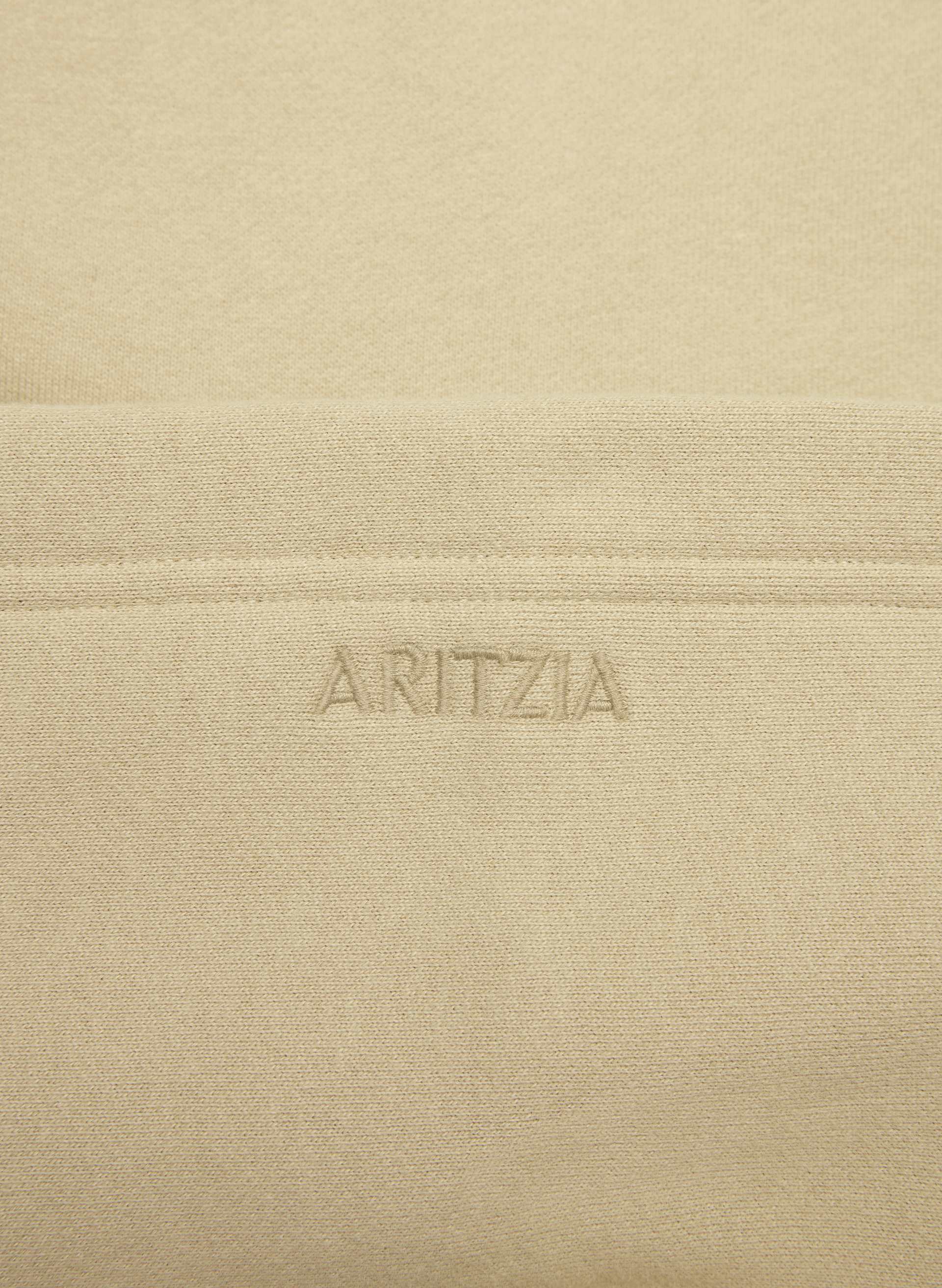 COZY SWEATFLEECE PERFECT HOODIE MEN'S | Aritzia