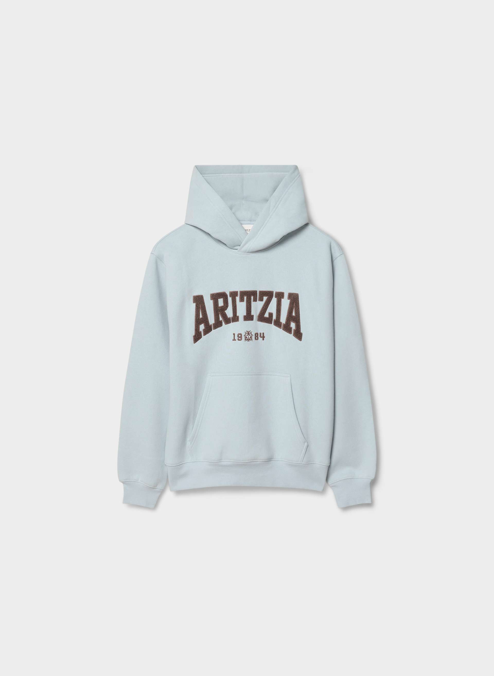 COZY SWEATFLEECE PERFECT HOODIE | Aritzia