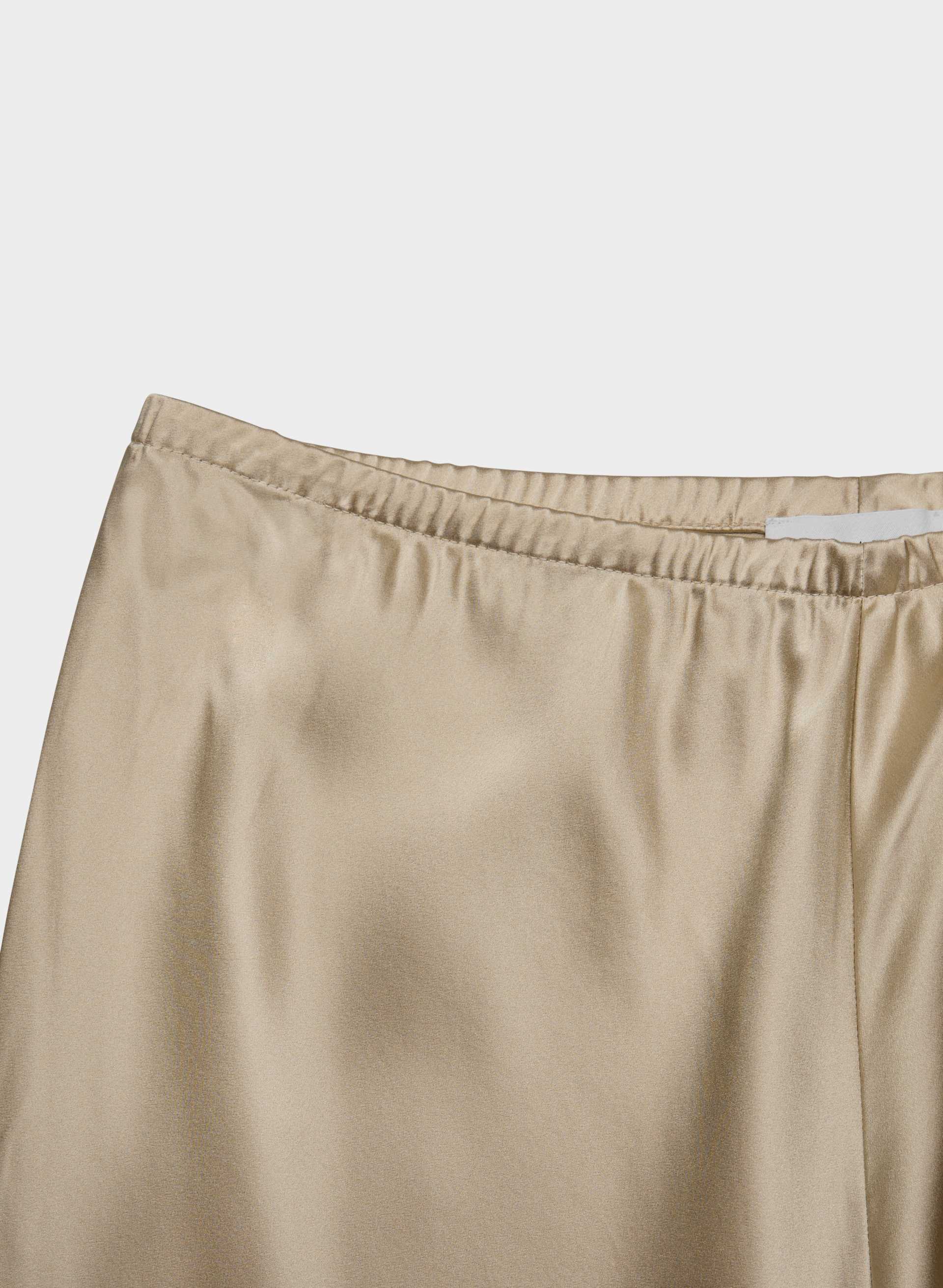 EXPRESS SILK PANT | Aritzia