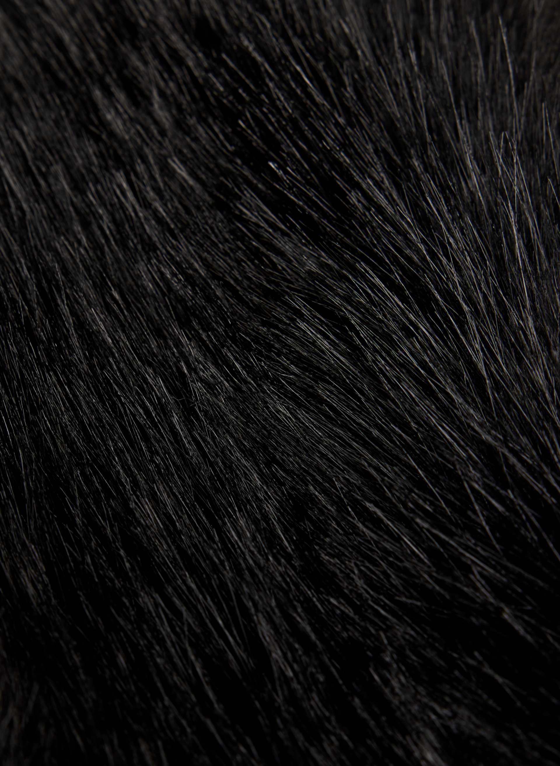 MURREN COLLAR | Aritzia