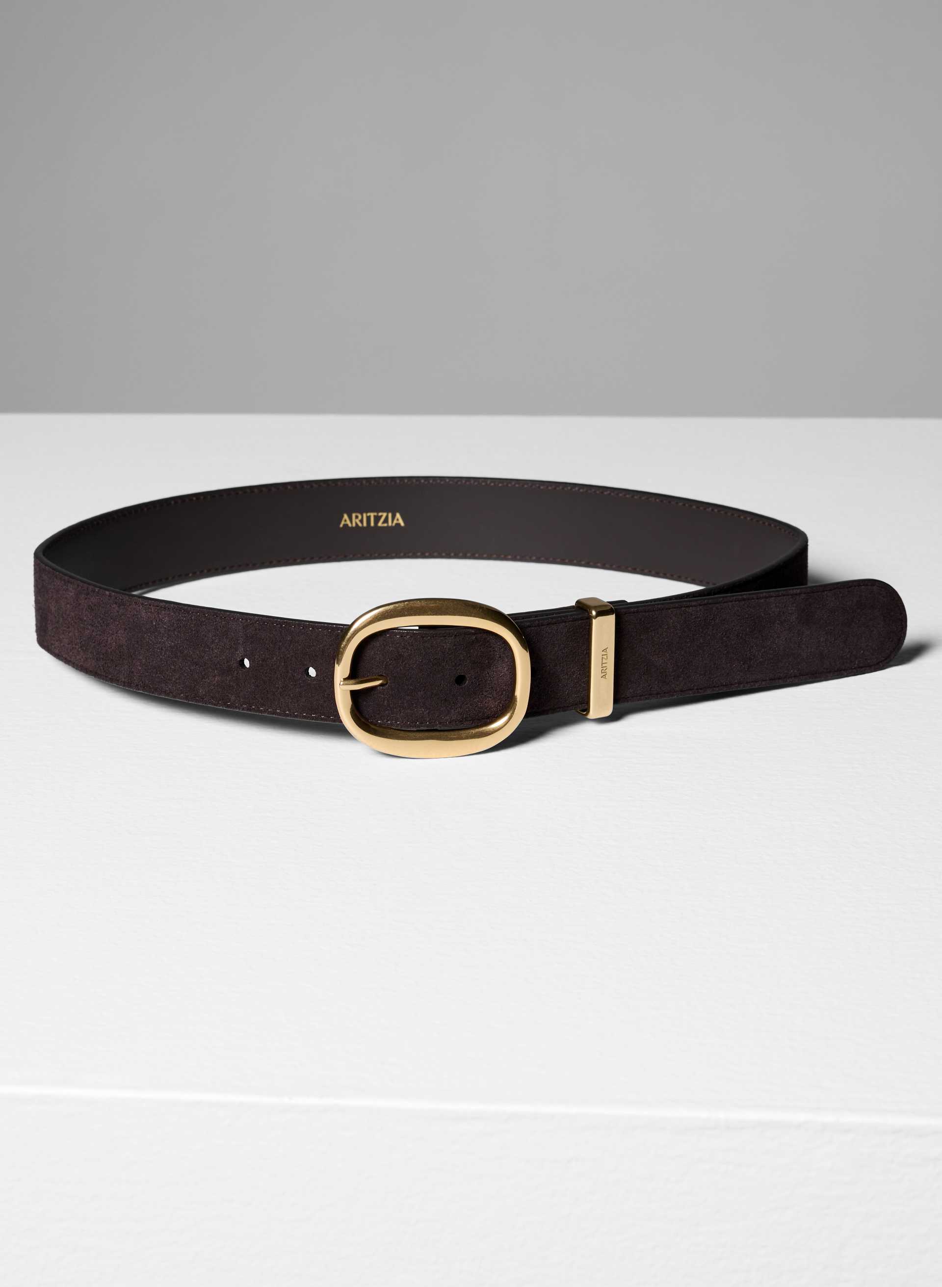 LIFETIME SOLID BRASS SUEDE WIDE BELT | Aritzia