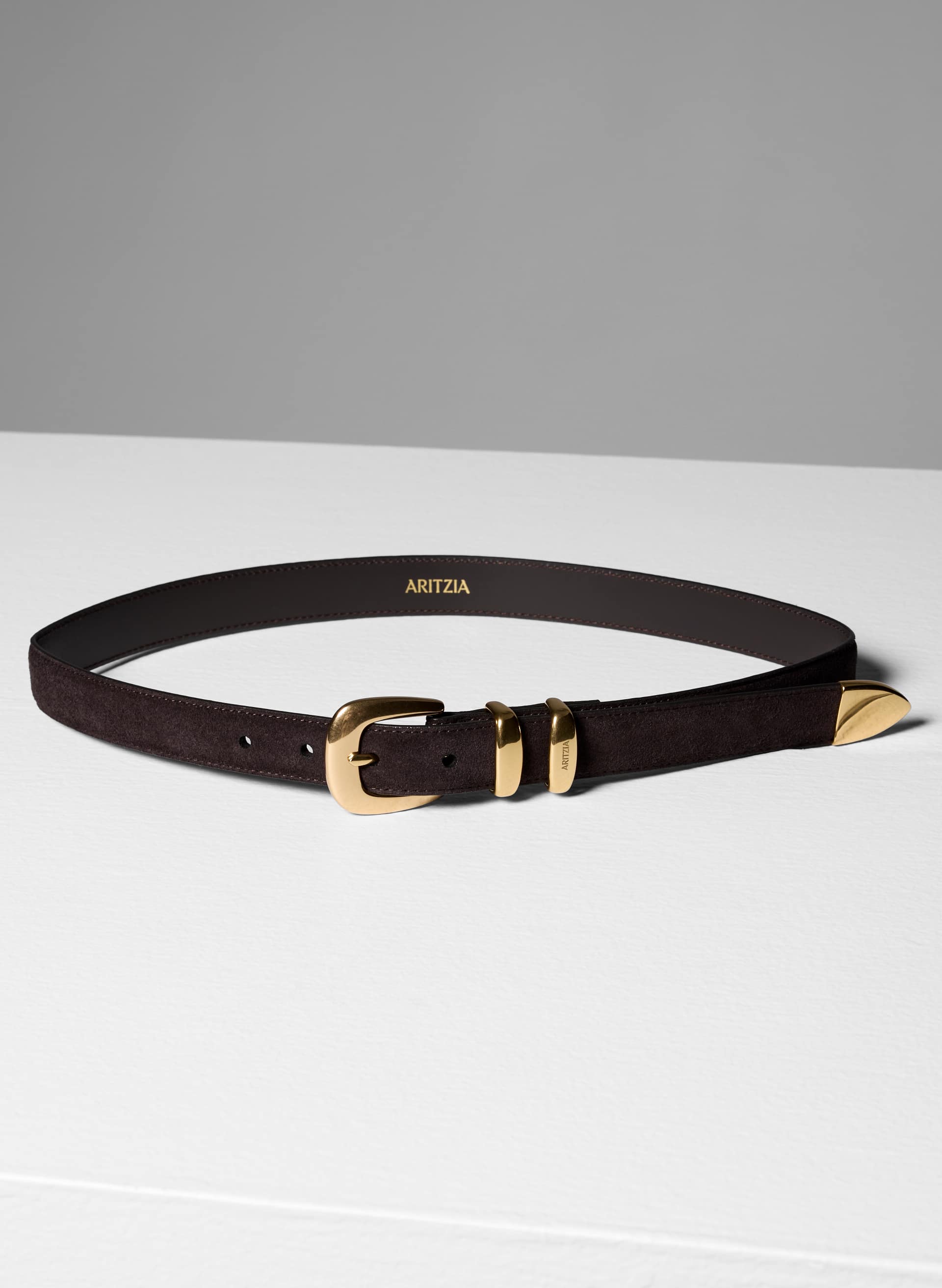 LEGENDARY SOLID BRASS SUEDE BELT | Aritzia