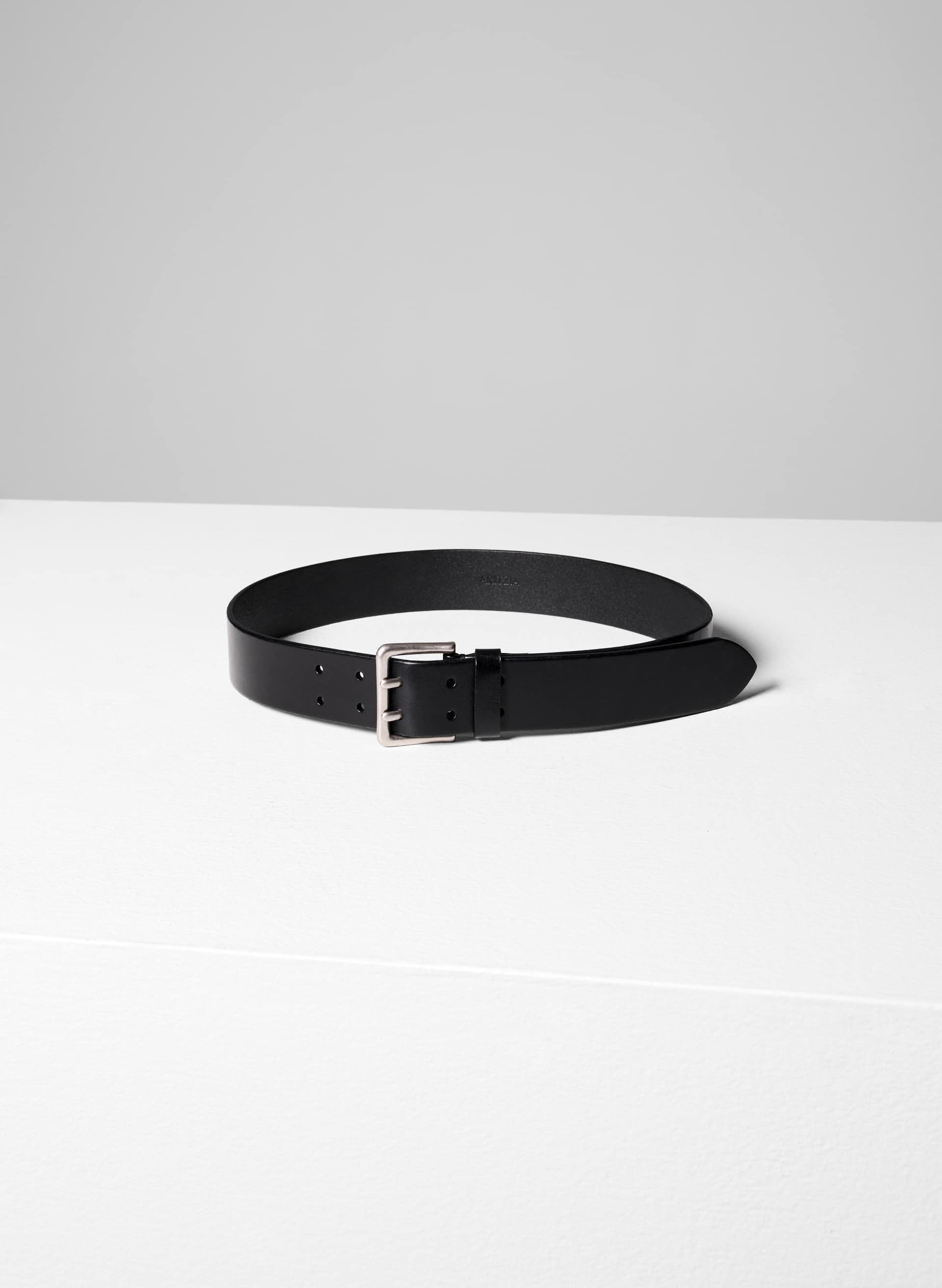 PARAGON SOLID BRASS BELT | Aritzia