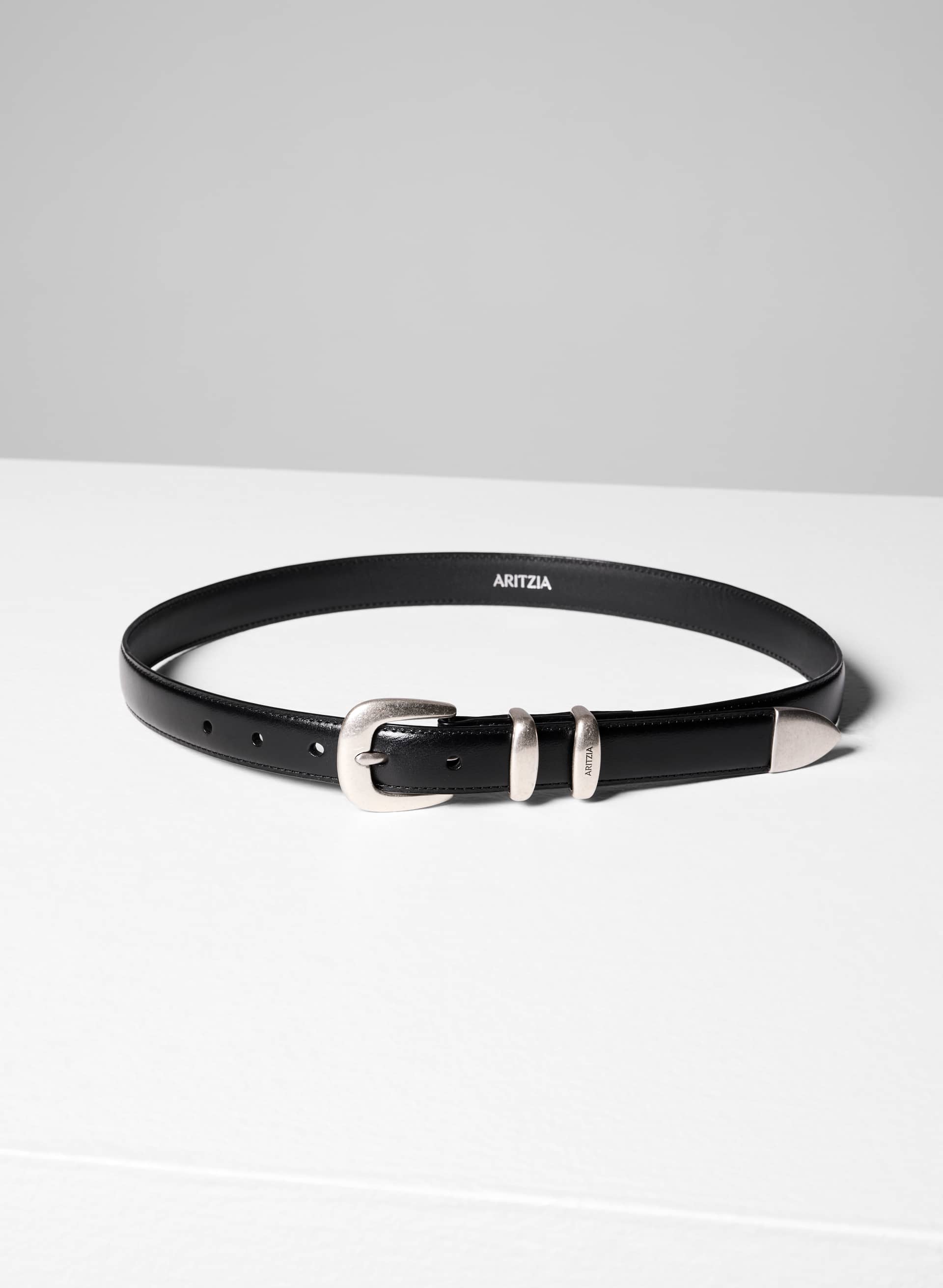 Legendary Solid Brass Leather Belt | Aritzia US