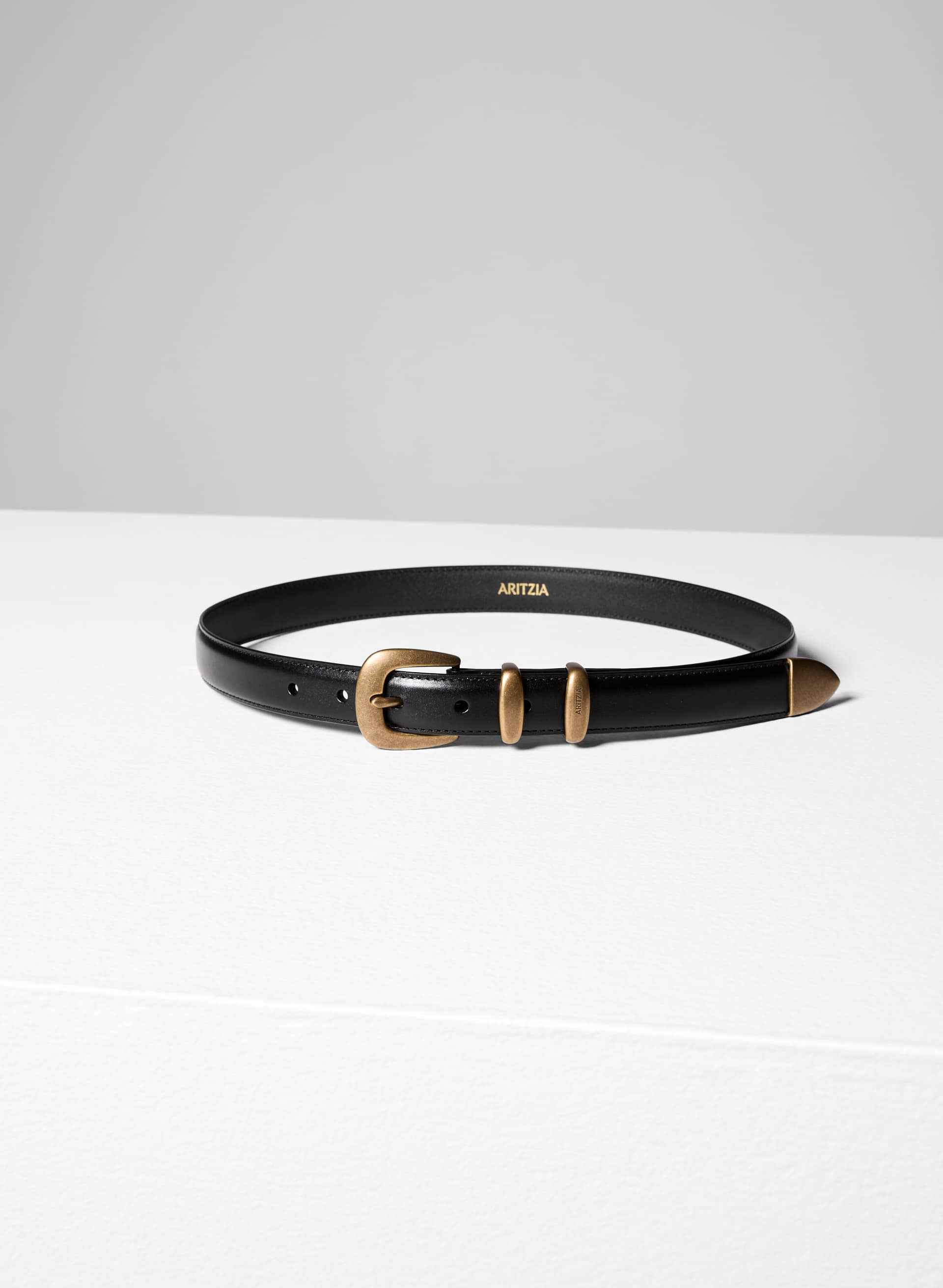 Legendary Solid Brass Leather Belt | Aritzia US
