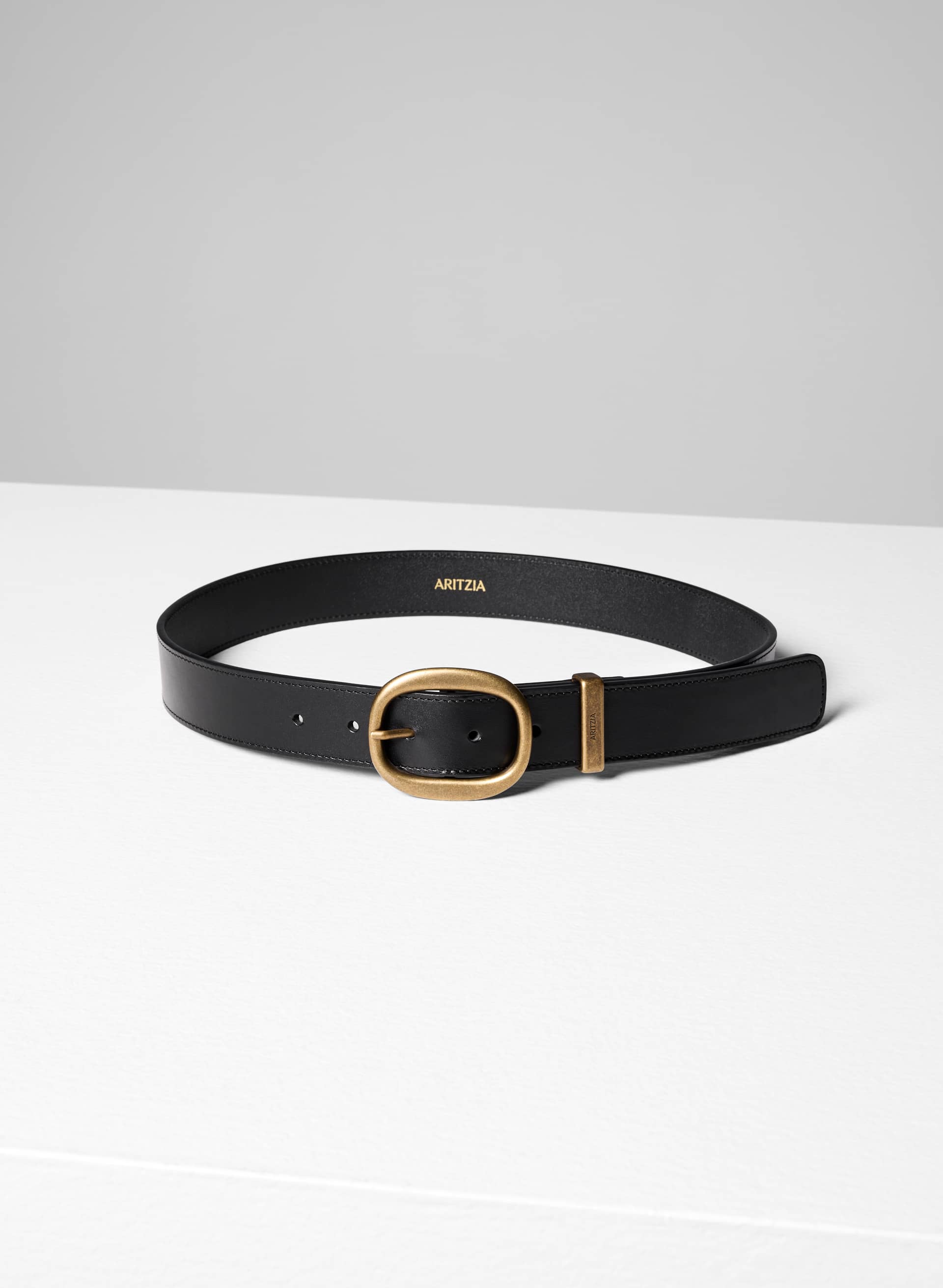 LIFETIME SOLID BRASS LEATHER WIDE BELT | Aritzia