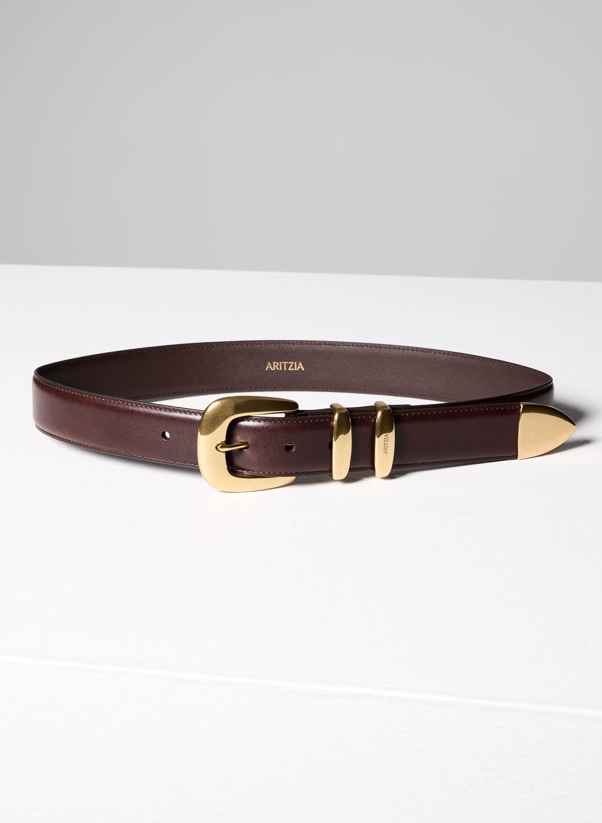 LEGENDARY SOLID BRASS LEATHER WIDE BELT | Aritzia