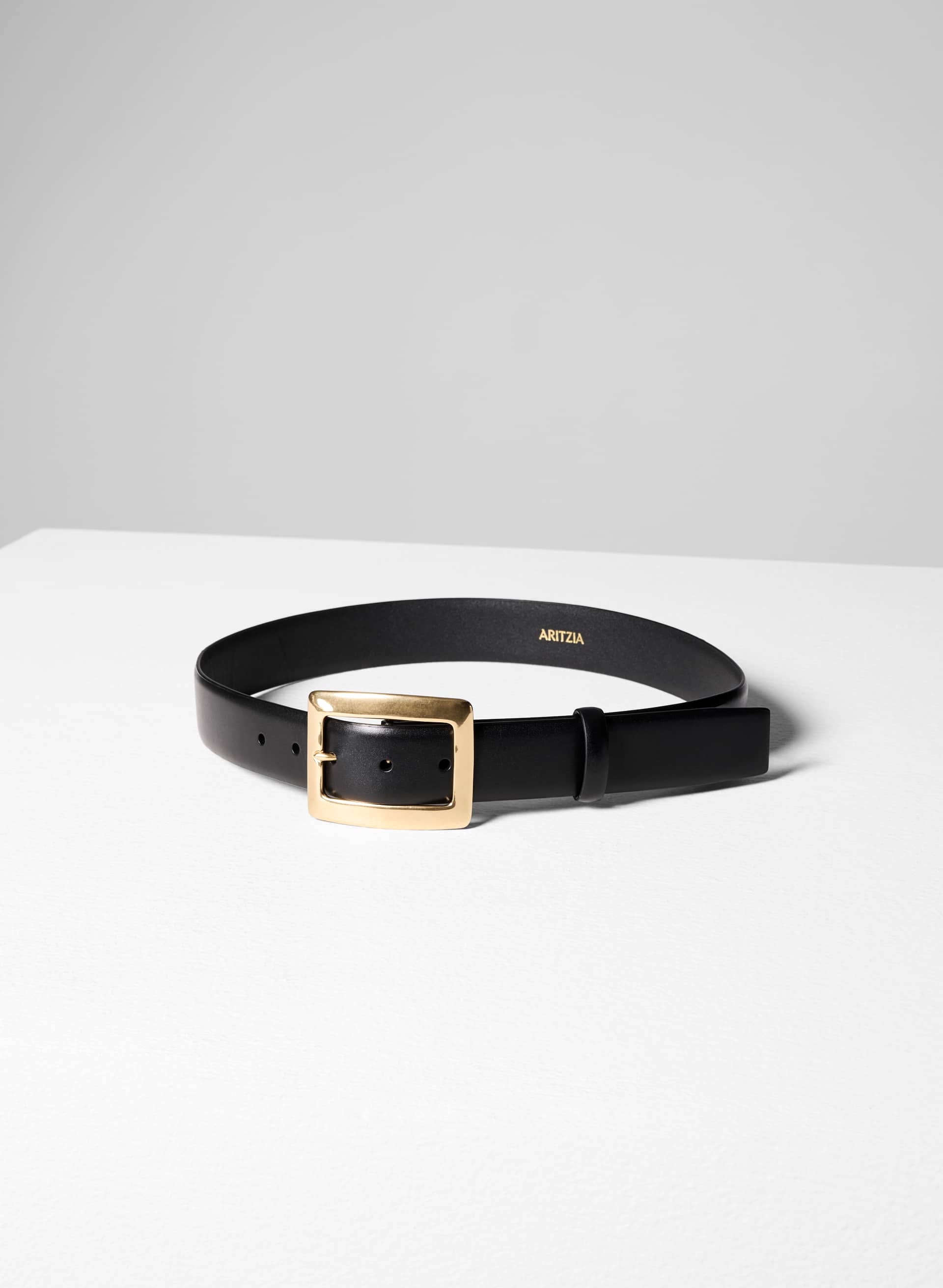 EDIFICE SOLID BRASS LEATHER BELT | Aritzia