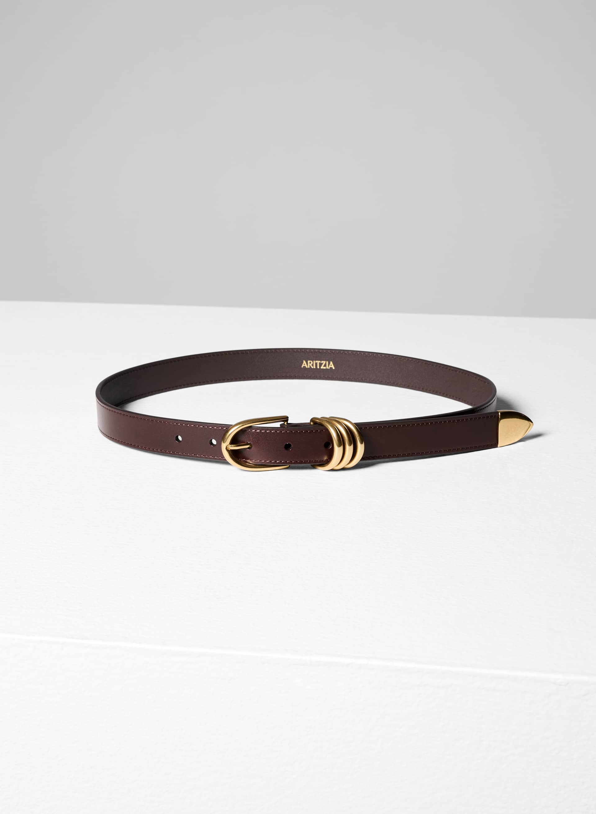 OPULENCE SOLID BRASS LEATHER BELT | Aritzia