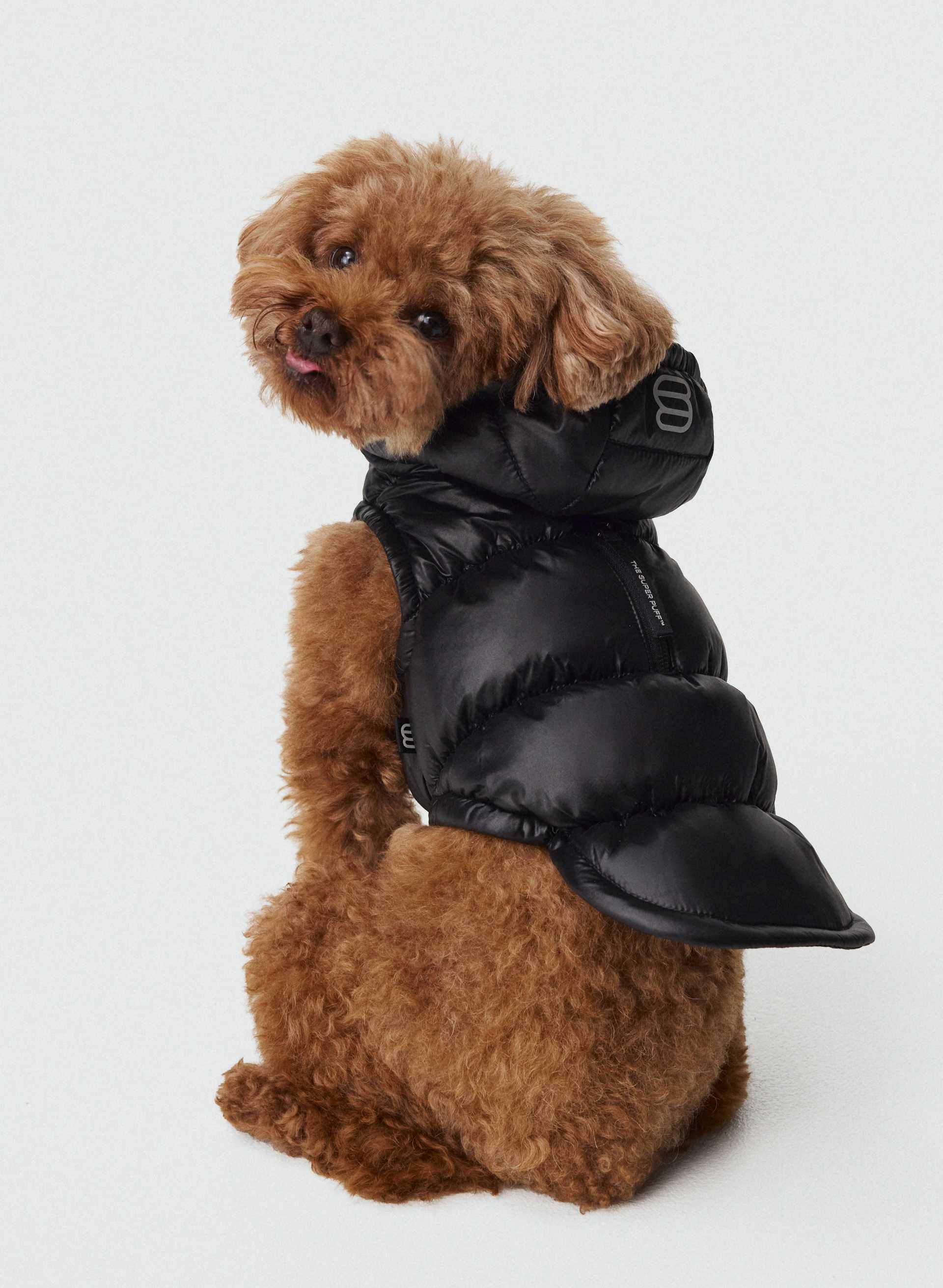 The Super Ruff Puff™ - Hi-Gloss | Aritzia US