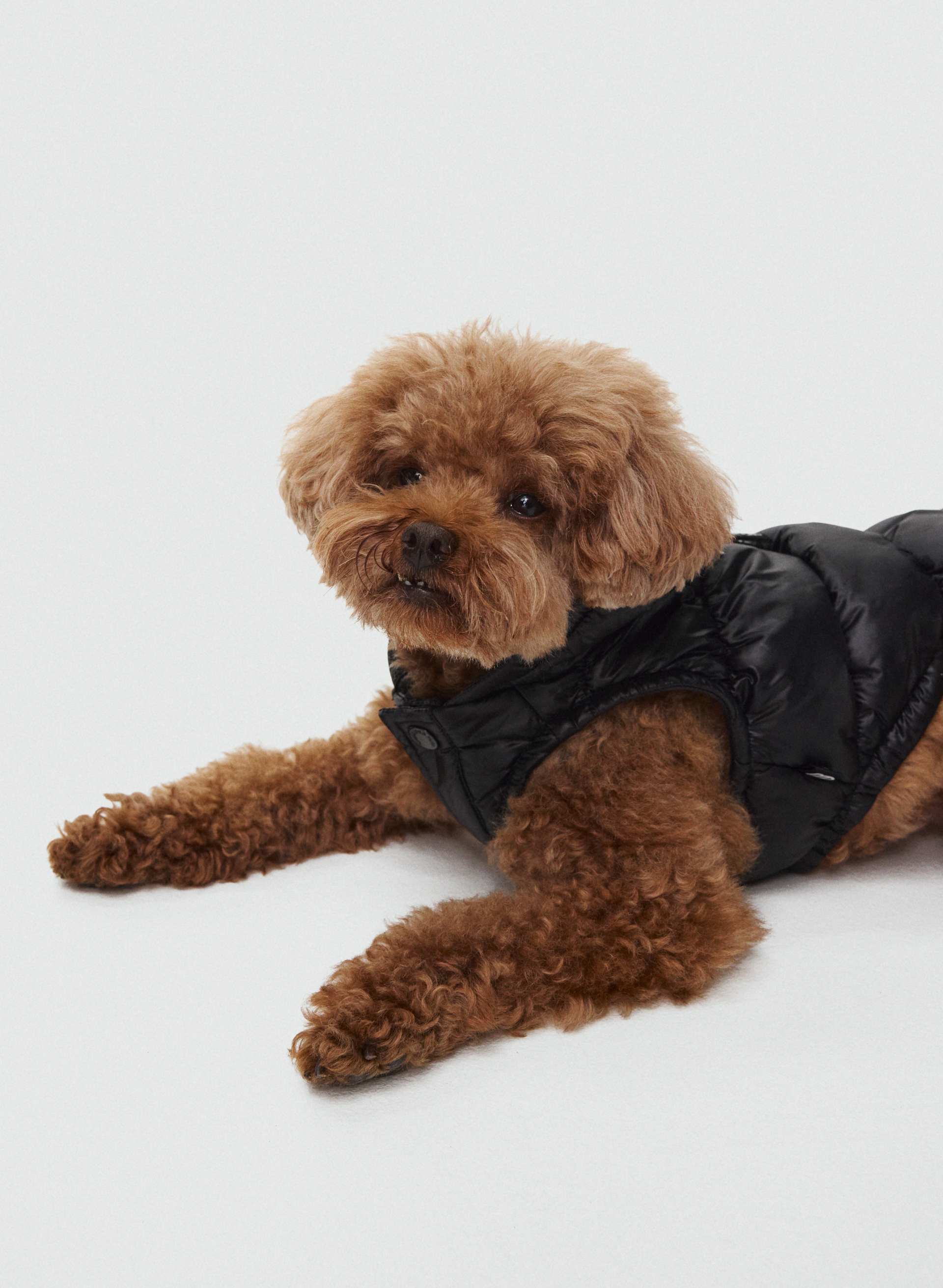 The Super Ruff Puff™ - Hi-Gloss | Aritzia US