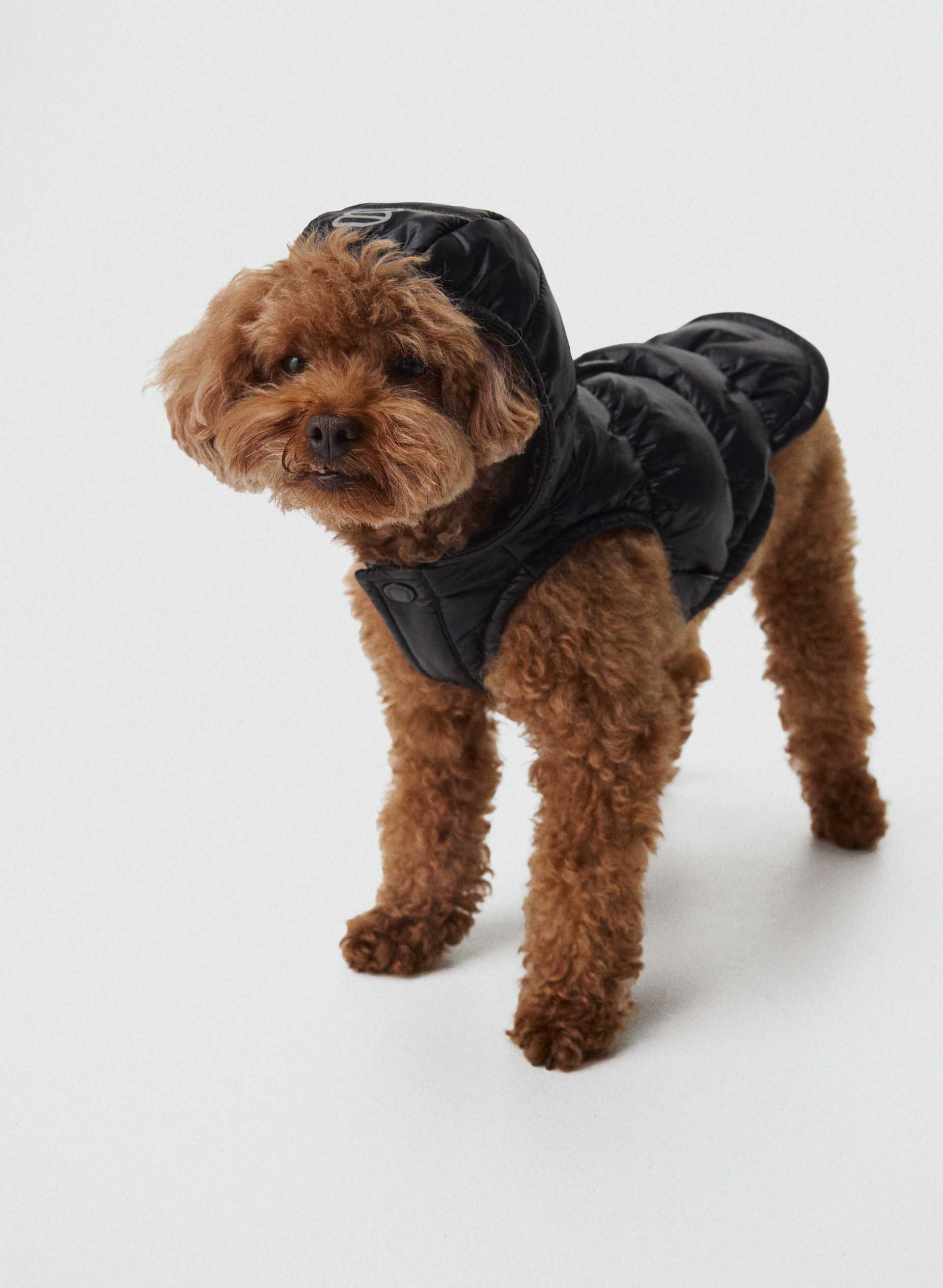 THE SUPER RUFF PUFF™ - HI-GLOSS - Hi-Gloss taffeta puffer jacket for dogs. 