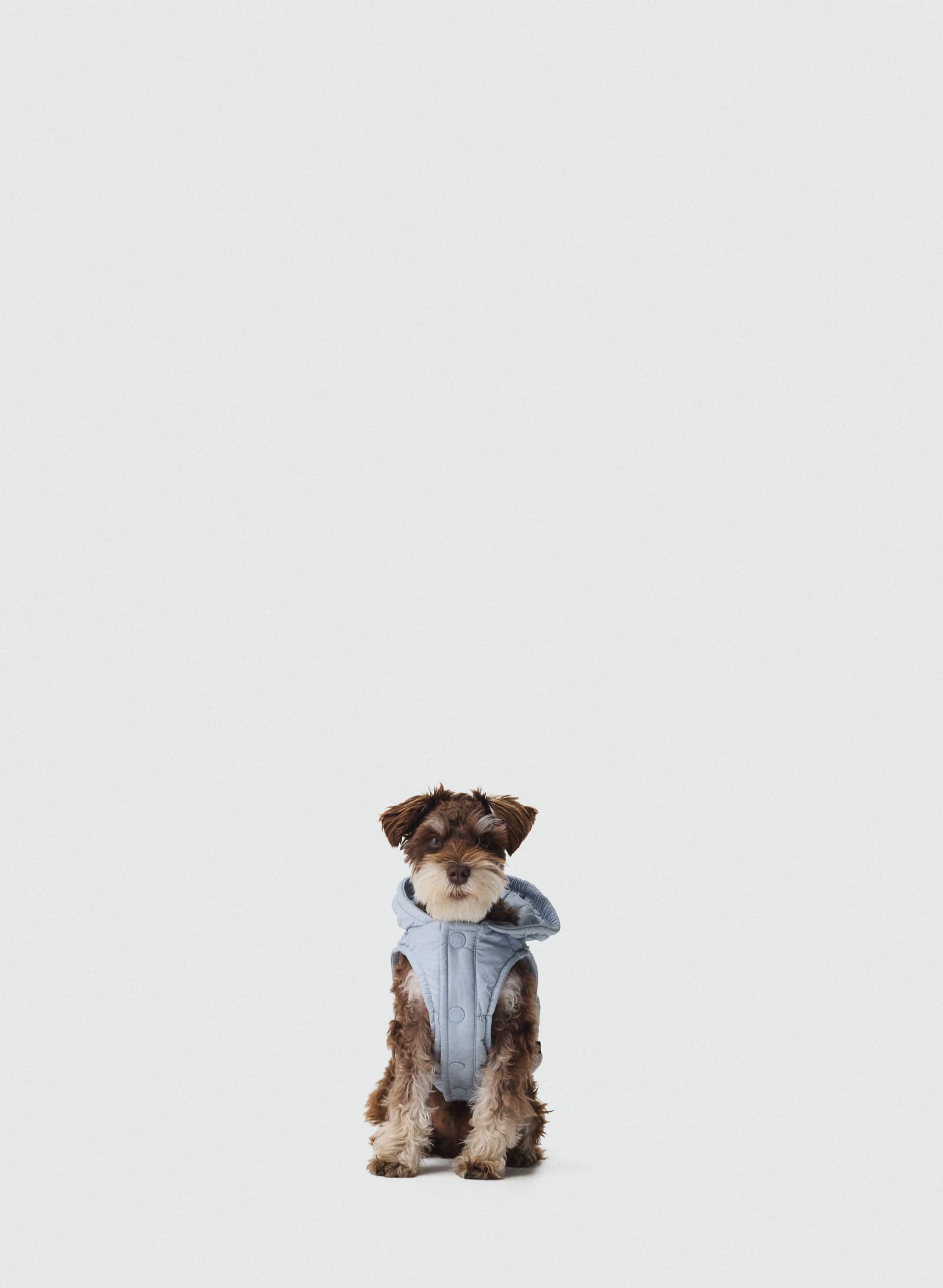 THE SUPER RUFF PUFF™ - HI-GLOSS - Hi-Gloss taffeta puffer jacket for dogs. 