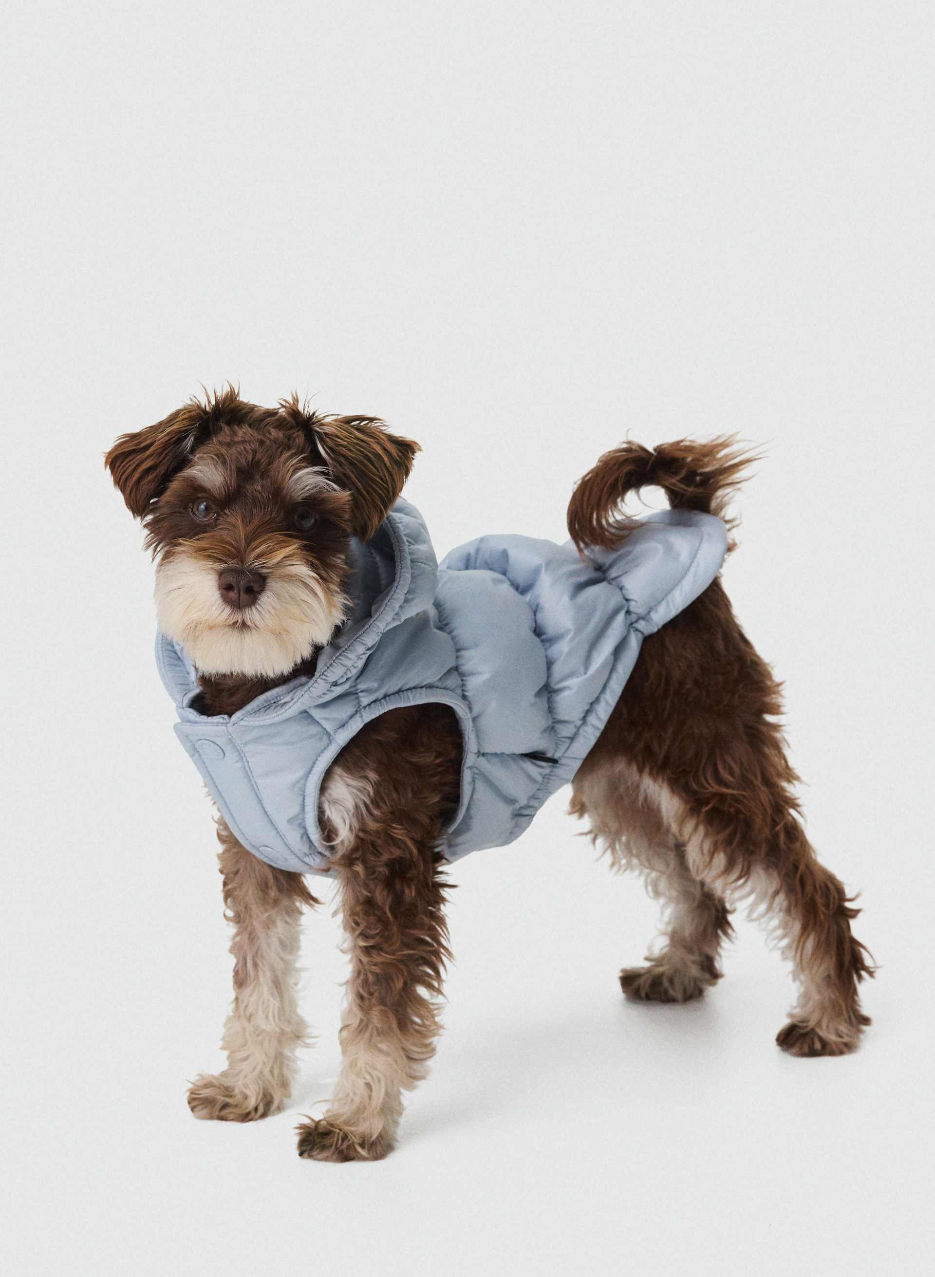 The Super Ruff Puff™ - Hi-Gloss | Aritzia US