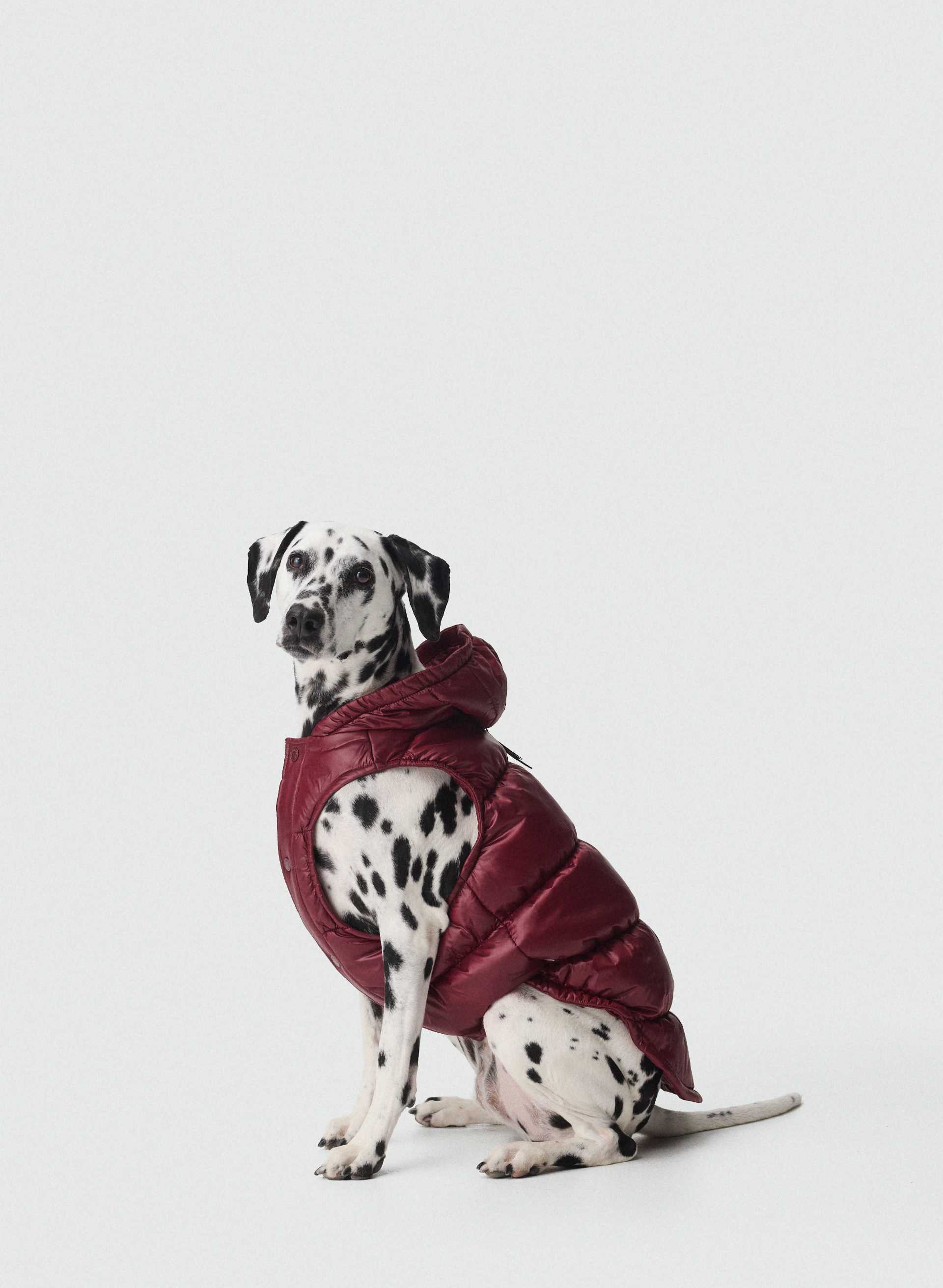 THE SUPER RUFF PUFF™ - HI-GLOSS - Hi-Gloss taffeta puffer jacket for dogs. 