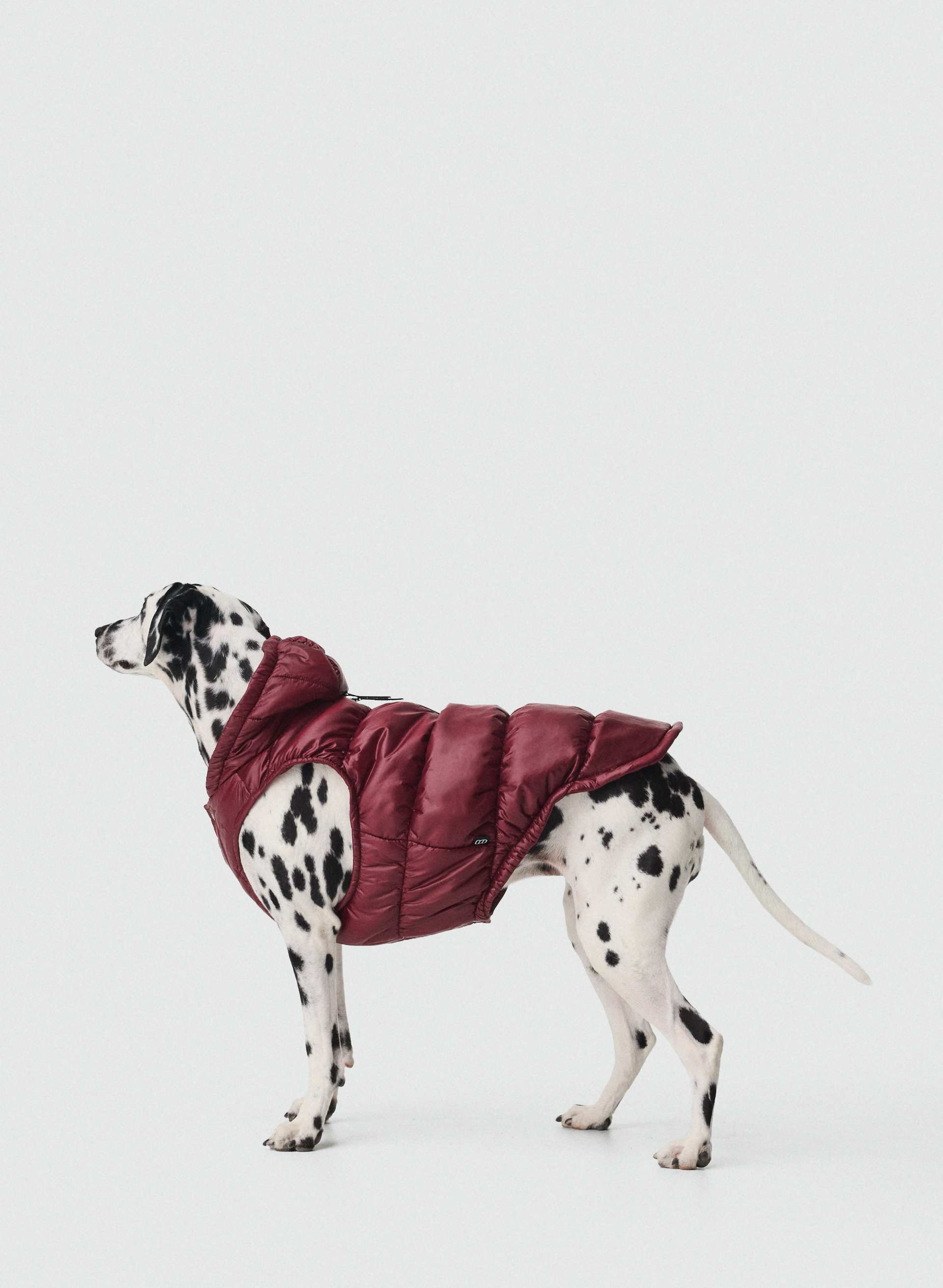 THE SUPER RUFF PUFF™ | Aritzia