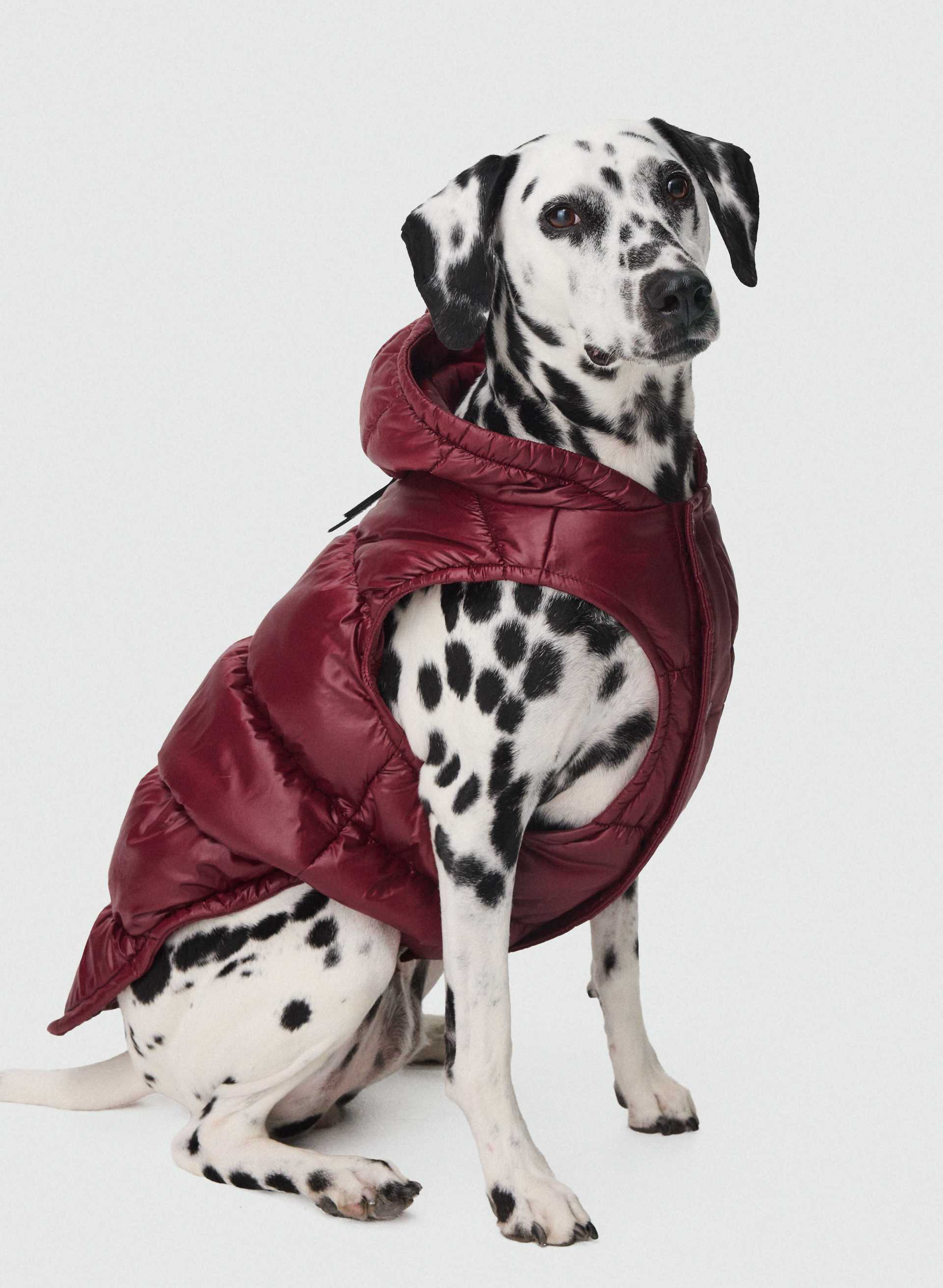 THE SUPER RUFF PUFF™ | Aritzia