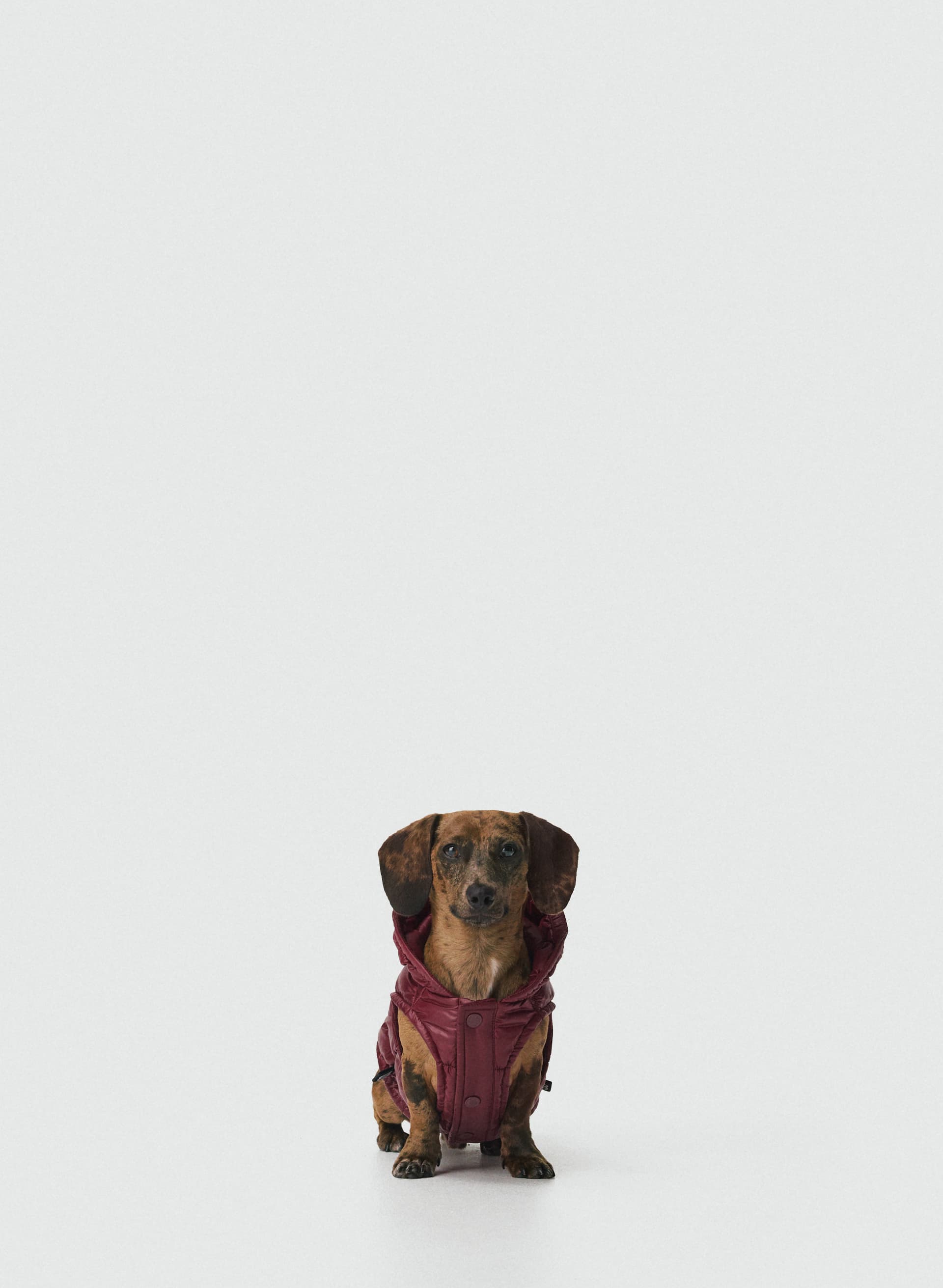 THE SUPER RUFF PUFF™ | Aritzia