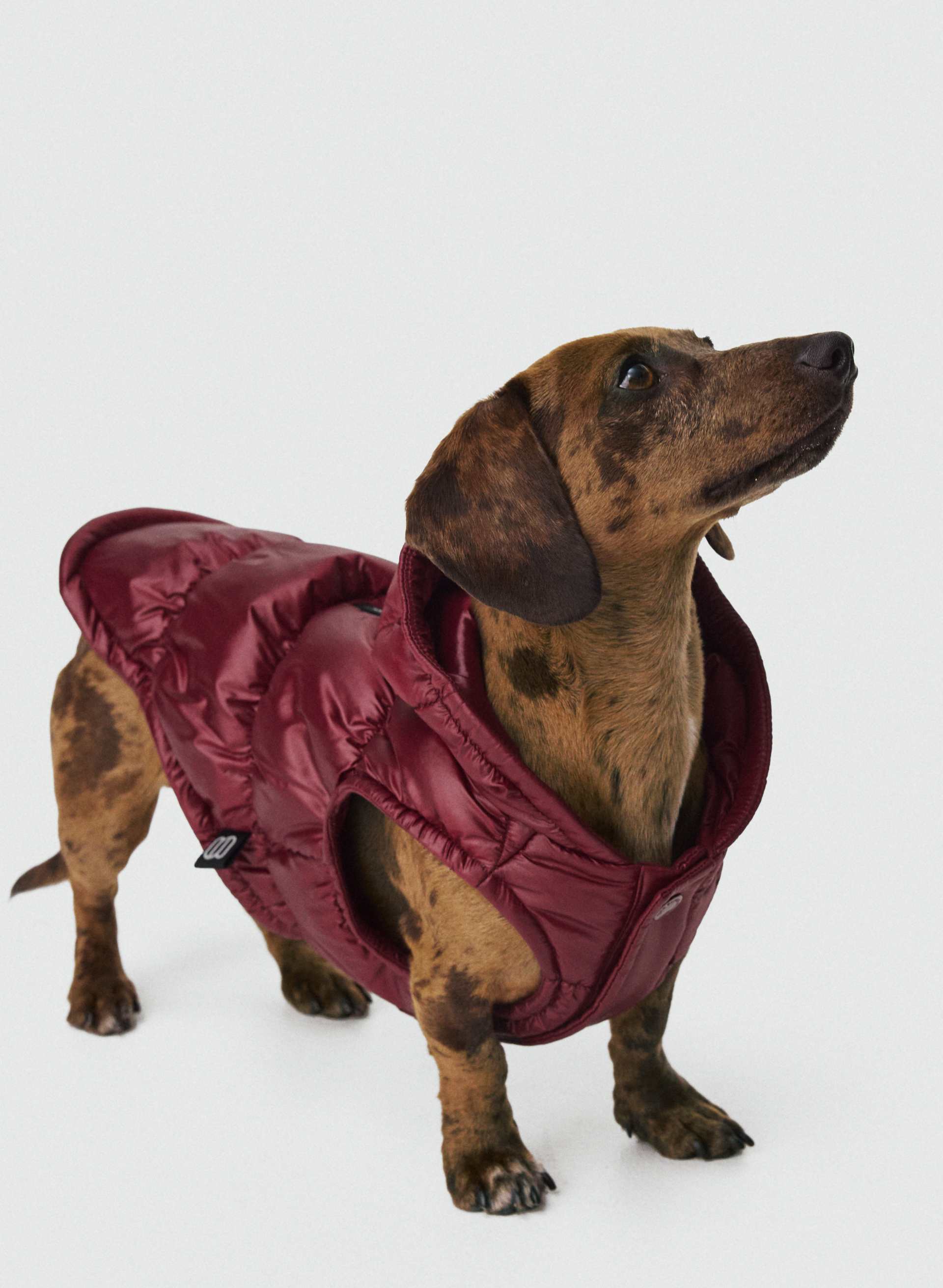THE SUPER RUFF PUFF™ | Aritzia