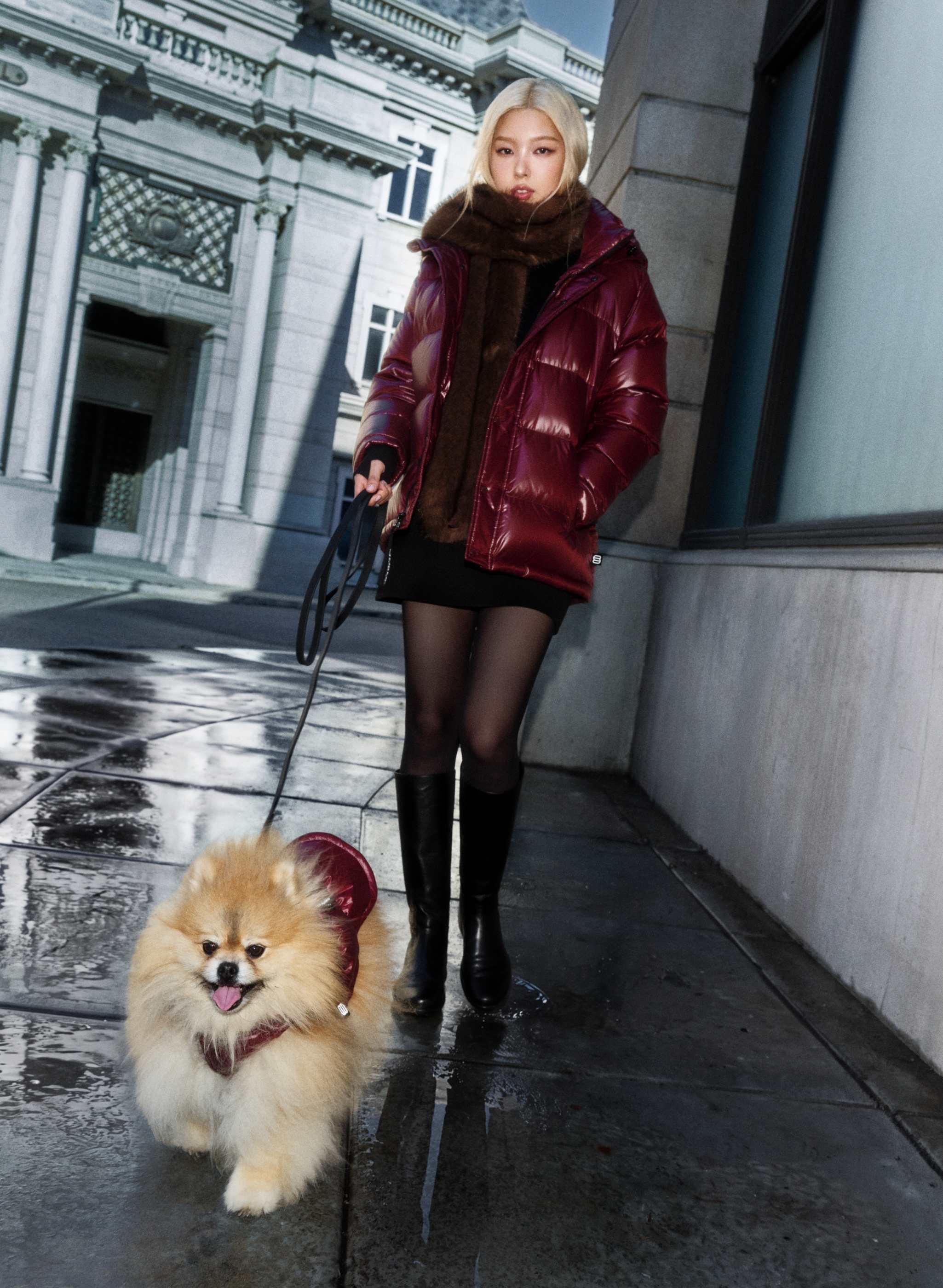 THE SUPER RUFF PUFF™ - HI-GLOSS - Hi-Gloss taffeta puffer jacket for dogs. 