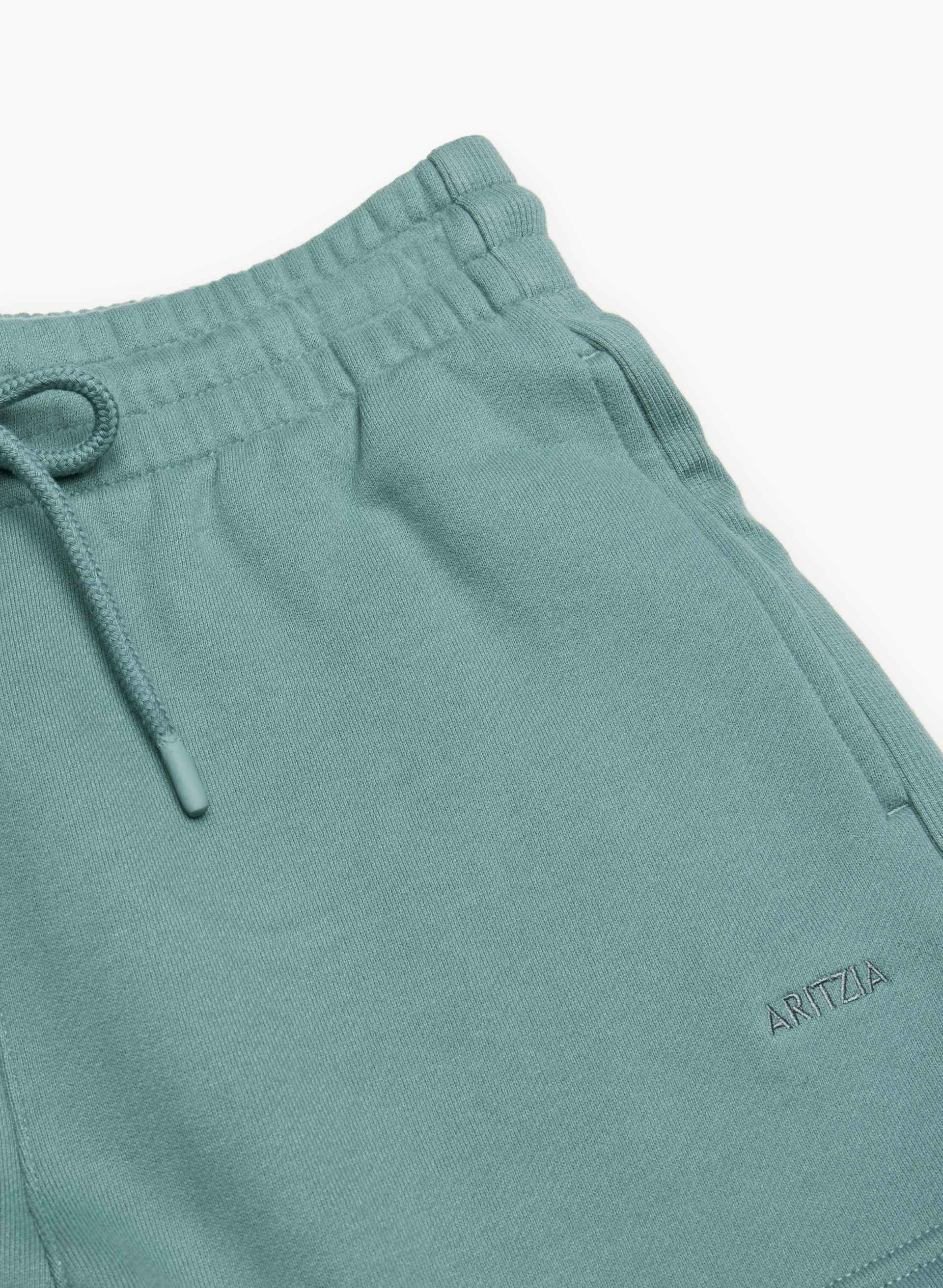 COZY FLEECE BOYFRIEND MINI SWEATSHORT | Aritzia