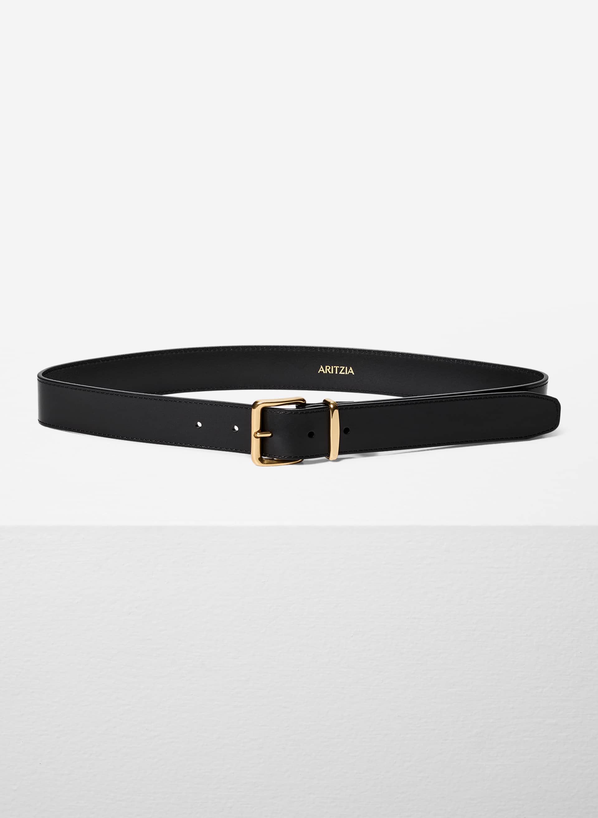 EMBLEM SOLID BRASS LEATHER WIDE BELT | Aritzia