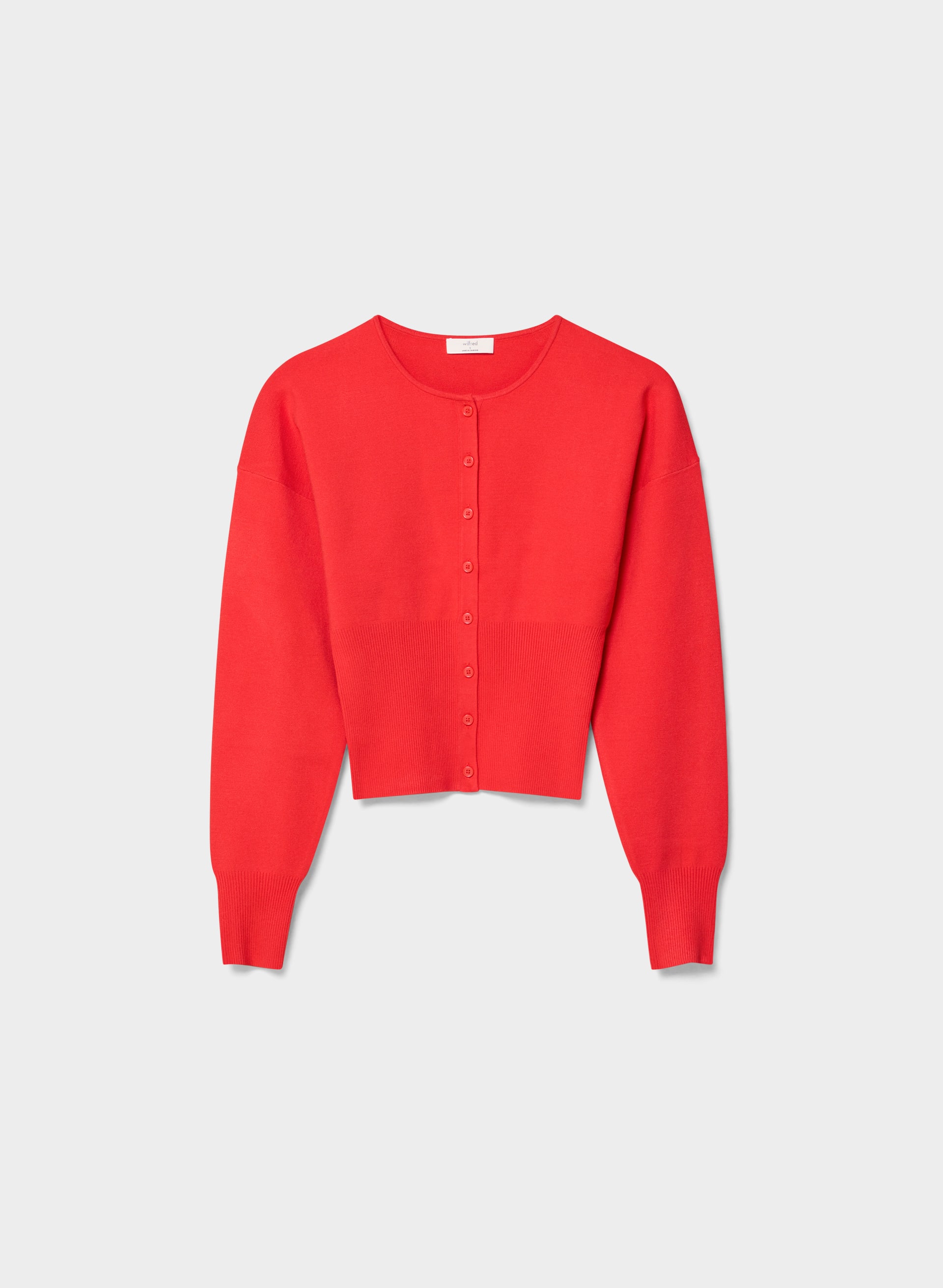 GOLIGHTLY CARDIGAN - WONDER YARN - Knit crewneck cardigan with wide ribbed waistband. 