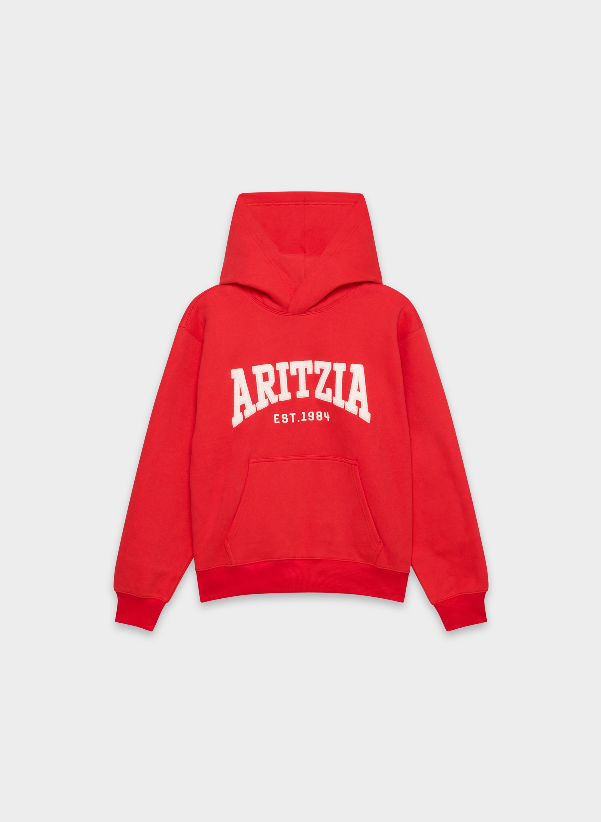 COZY SWEATFLEECE PERFECT HOODIE | Aritzia