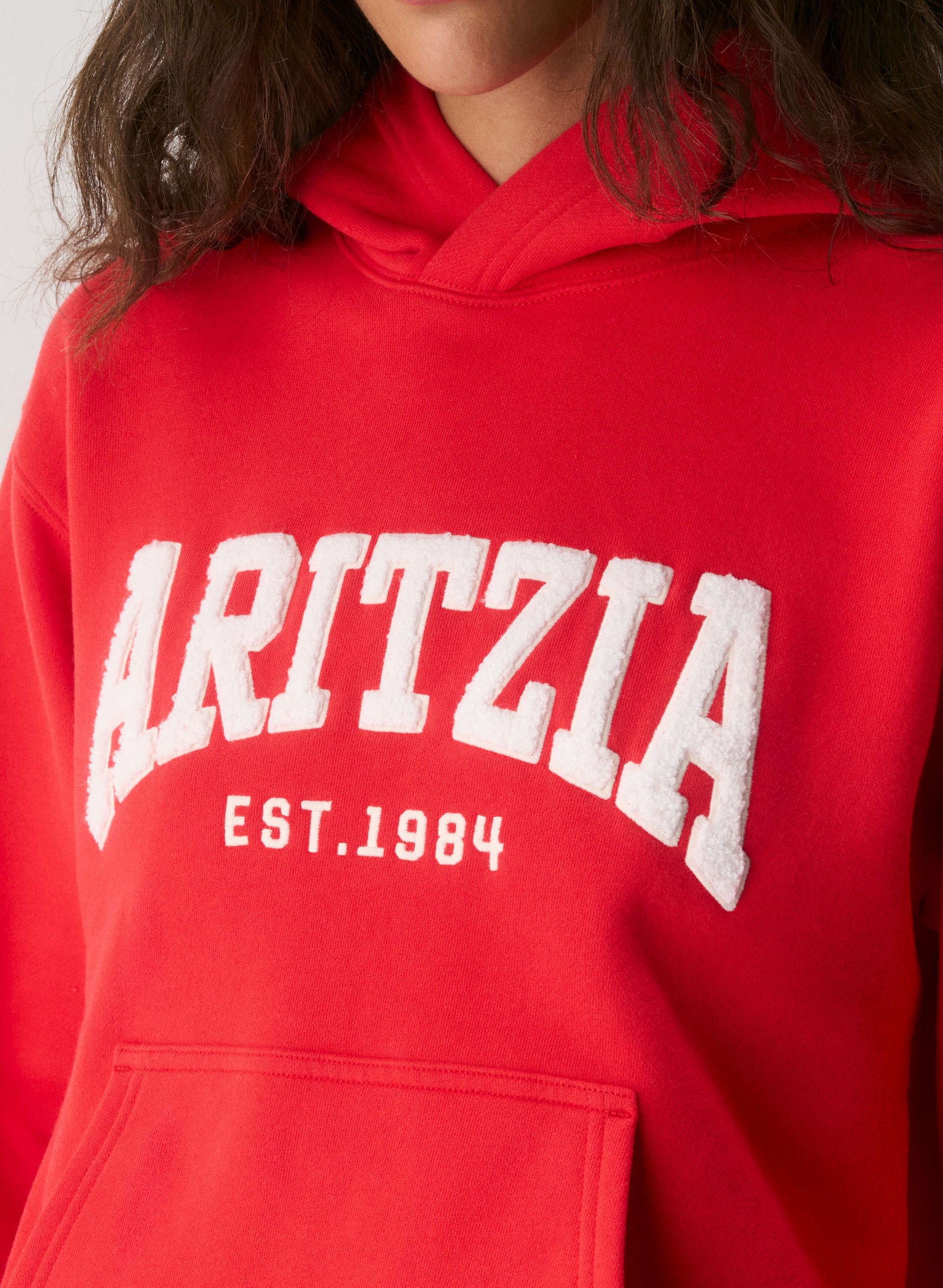 COZY SWEATFLEECE PERFECT HOODIE | Aritzia