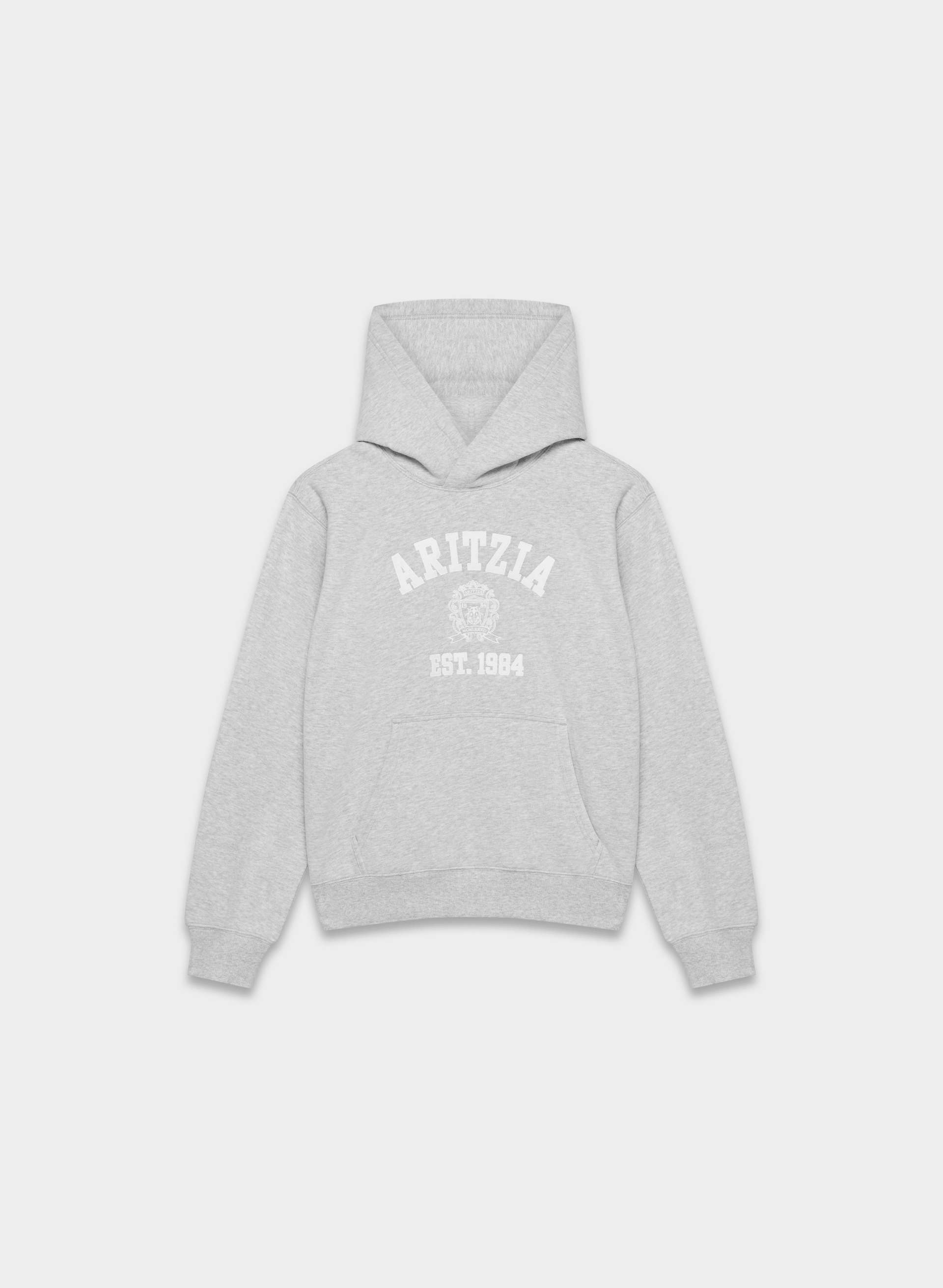 COZY SWEATFLEECE PERFECT HOODIE | Aritzia