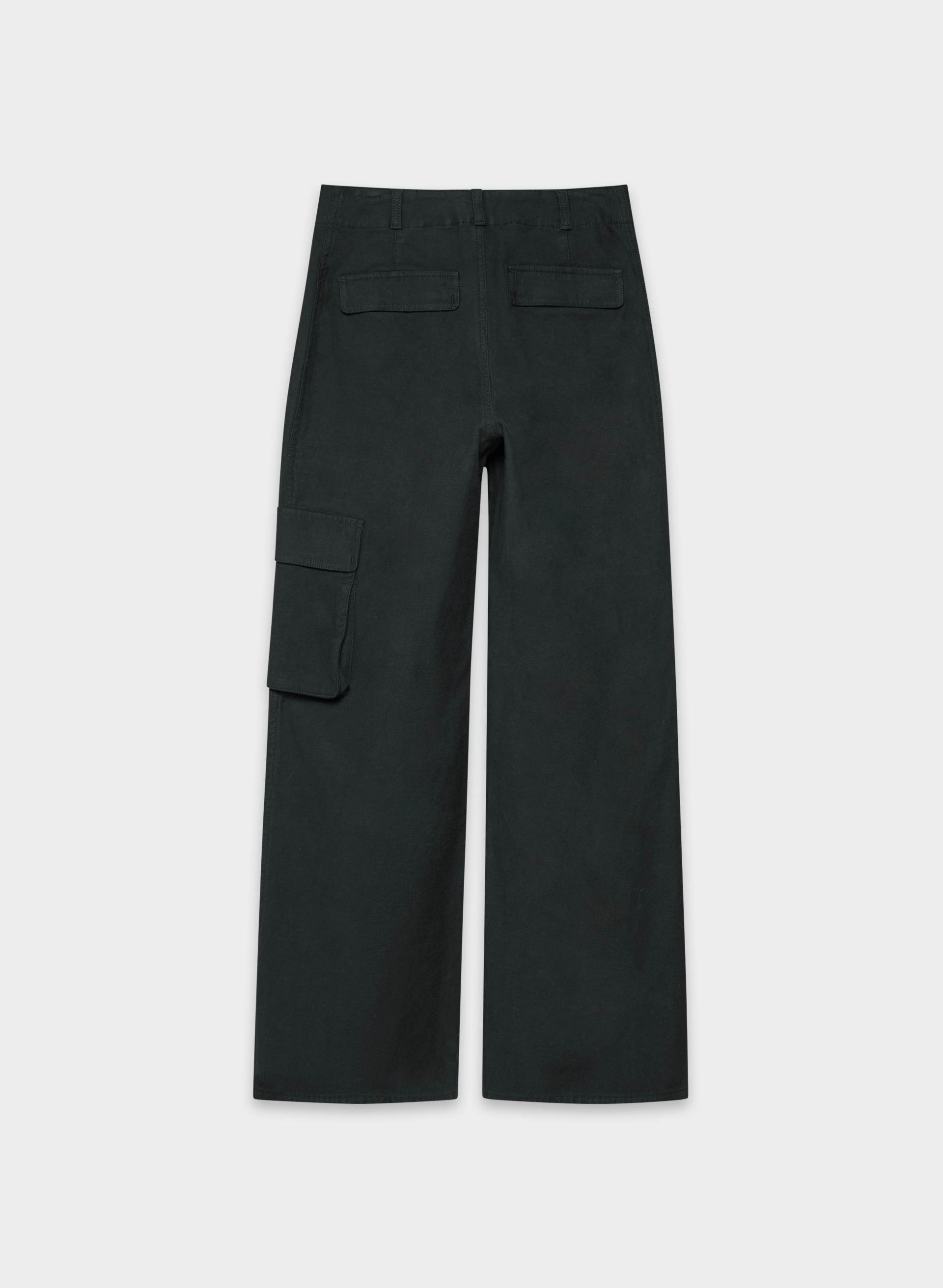 PICTURE CARGO PANT | Aritzia